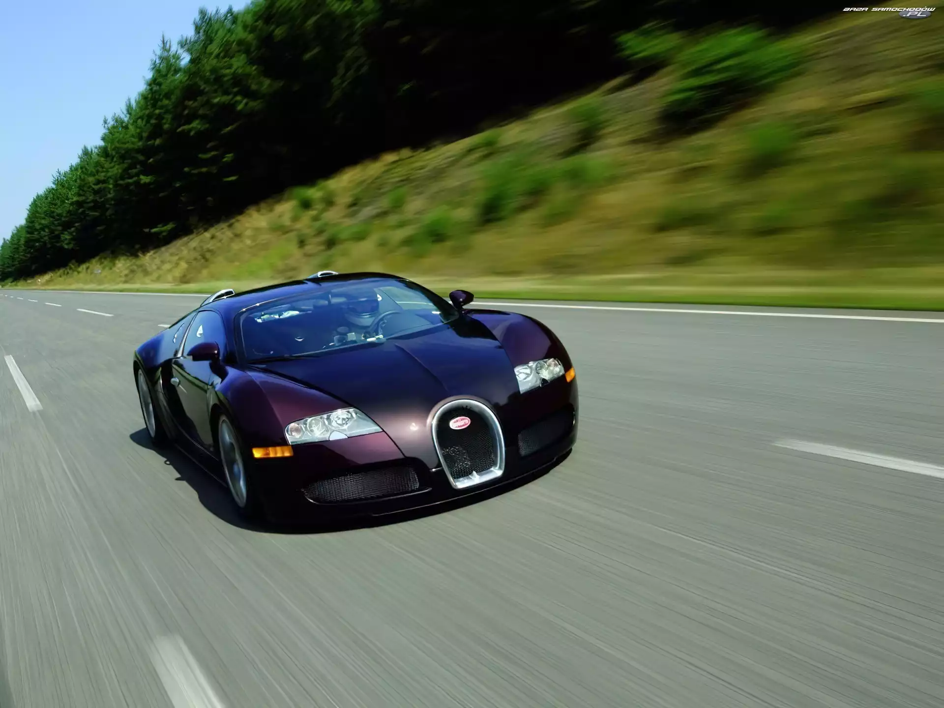 Bugatti Veyron, Bordowy
