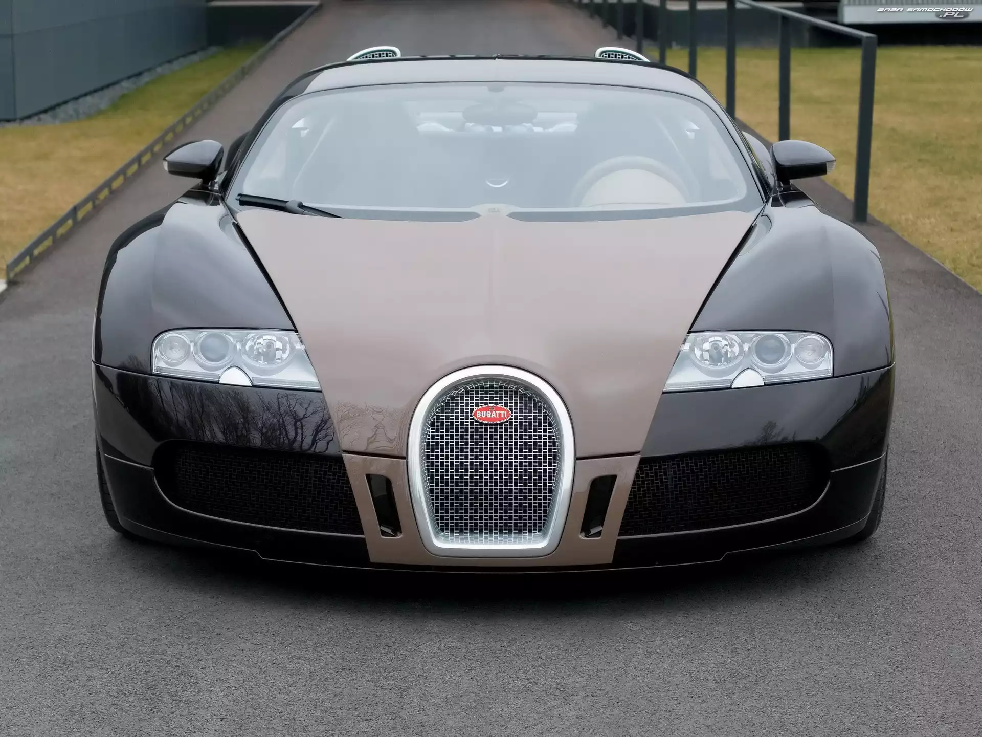 Bugatti Veyron, Brązowy, Przód