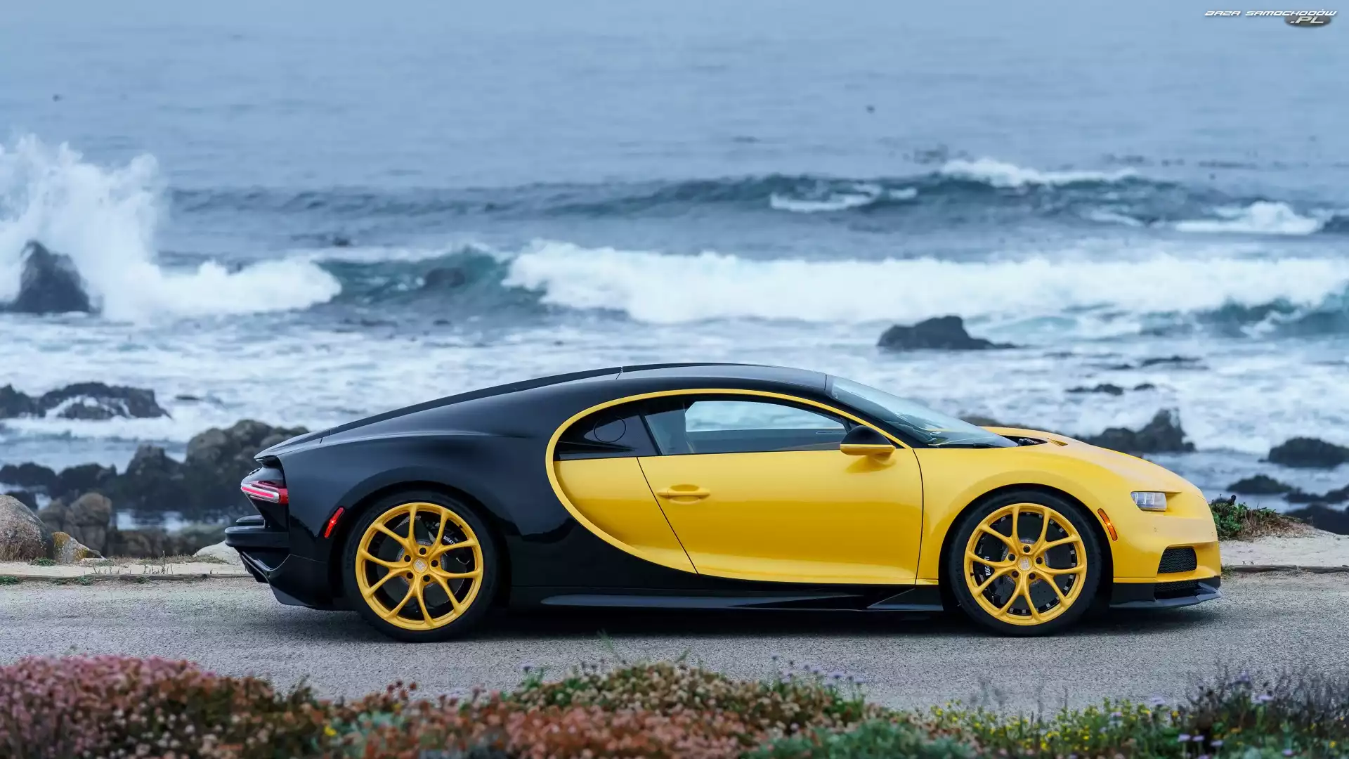 Żółto-czarny, Wybrzeże, Bugatti Chiron