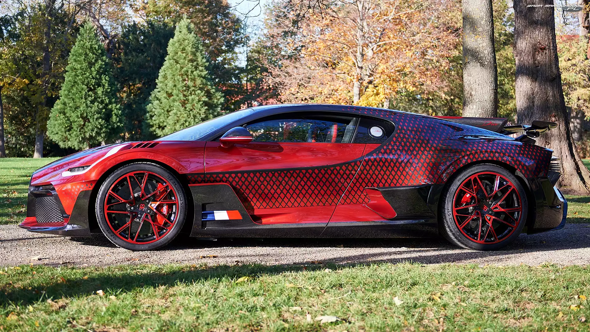 Bok, Bugatti Divo Lady Bug