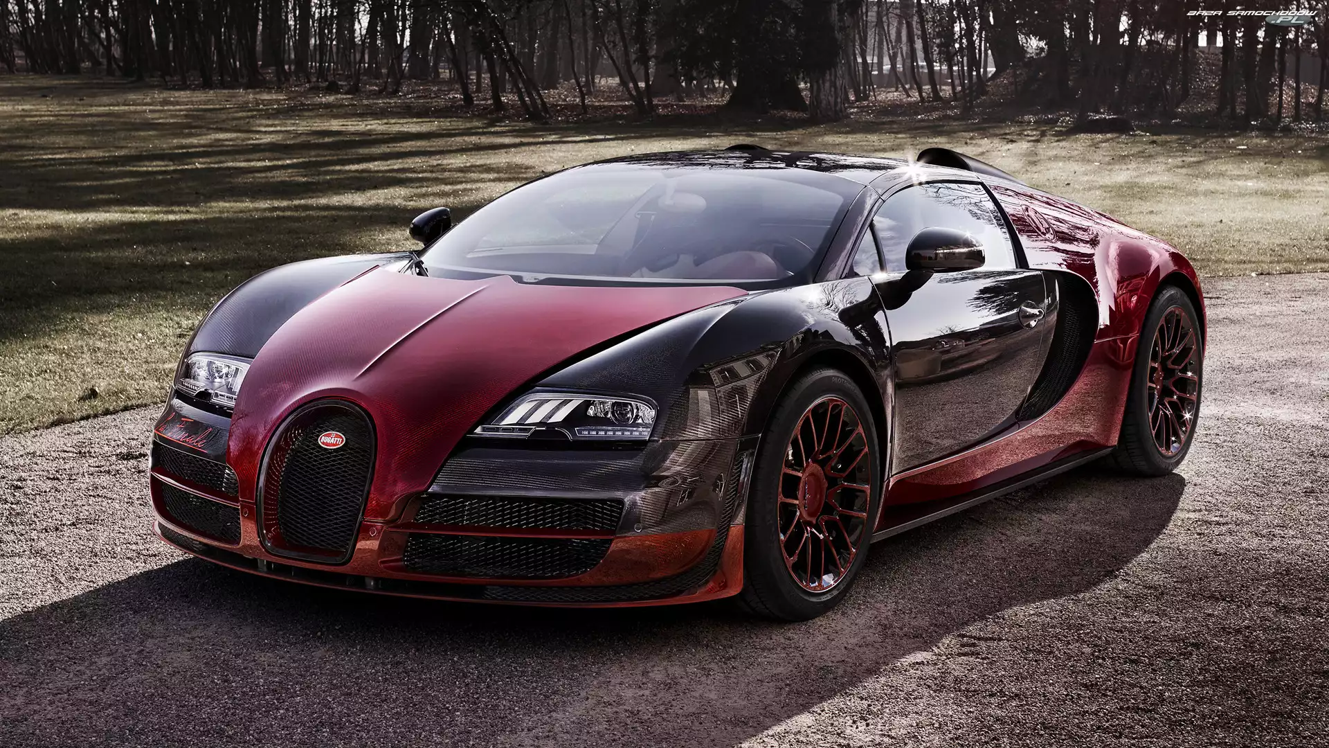 Przód, Bugatti Veyron Grand Sport Vitesse, La Finale