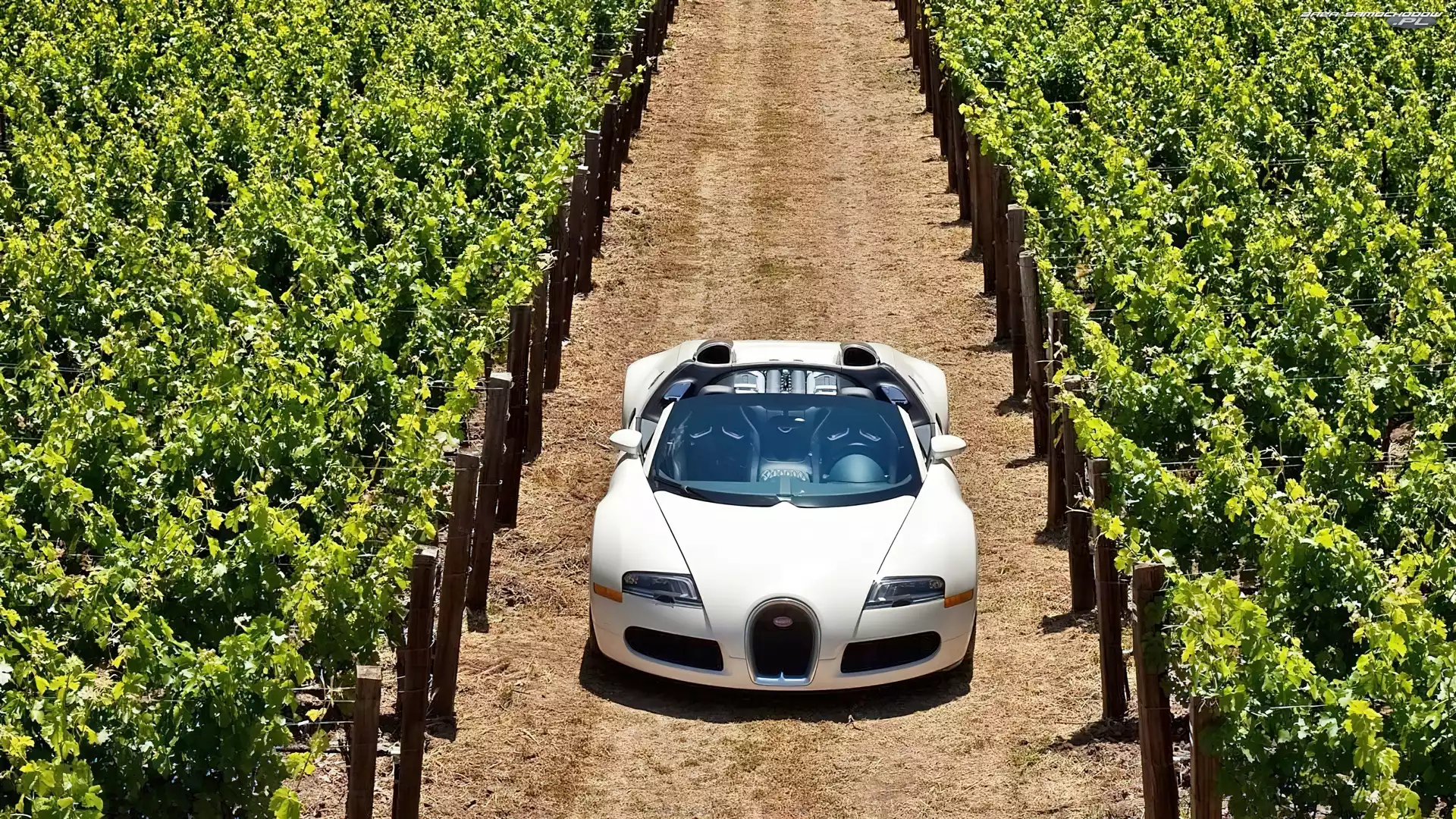 Bugatti Veyron Grand Sport