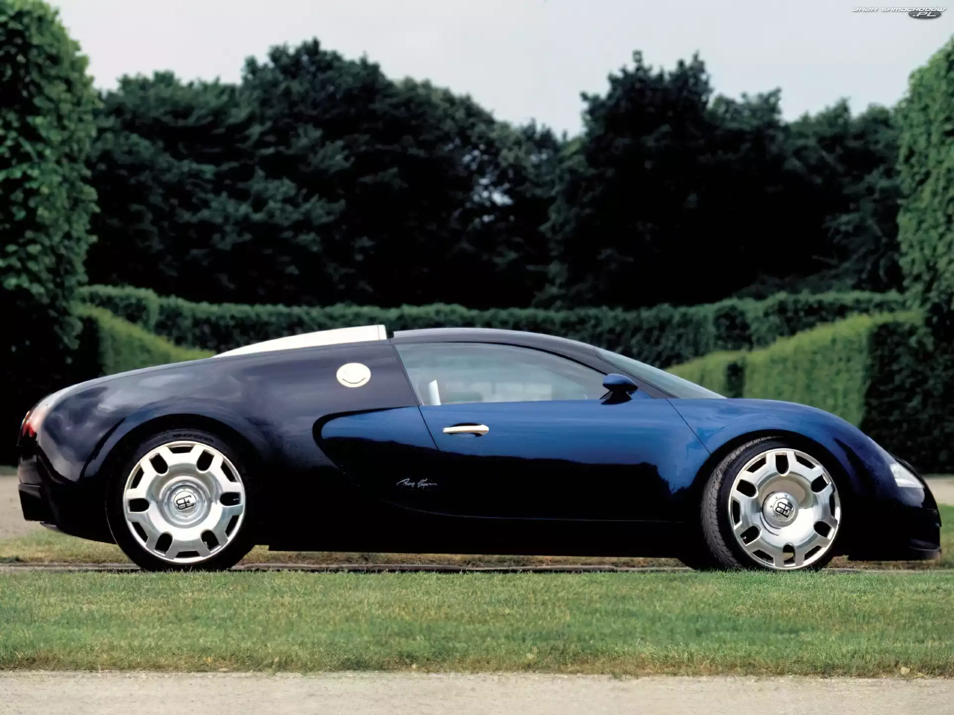 Prawy Profil, Bugatti Veyron