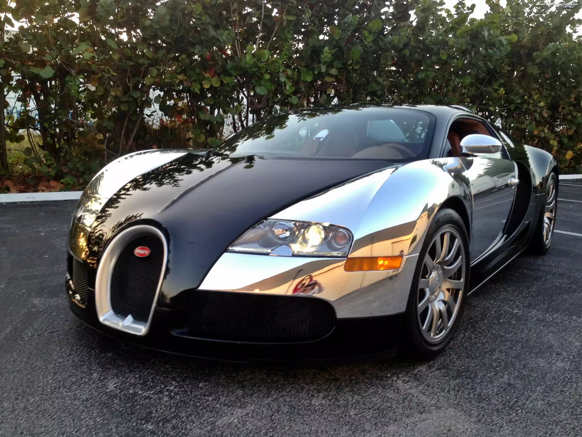 Roślinność, Bugatti, Veyron