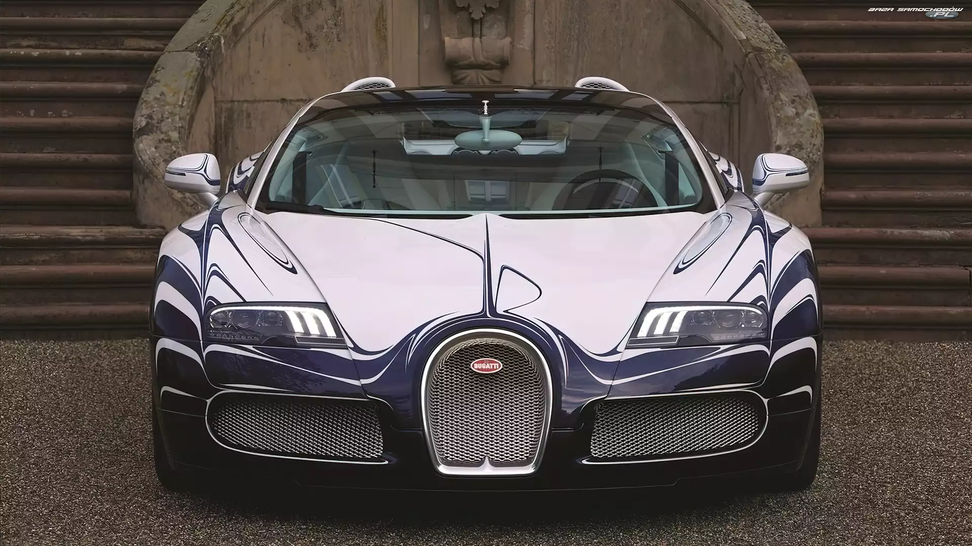 Bugatti Veyron, Sportowe