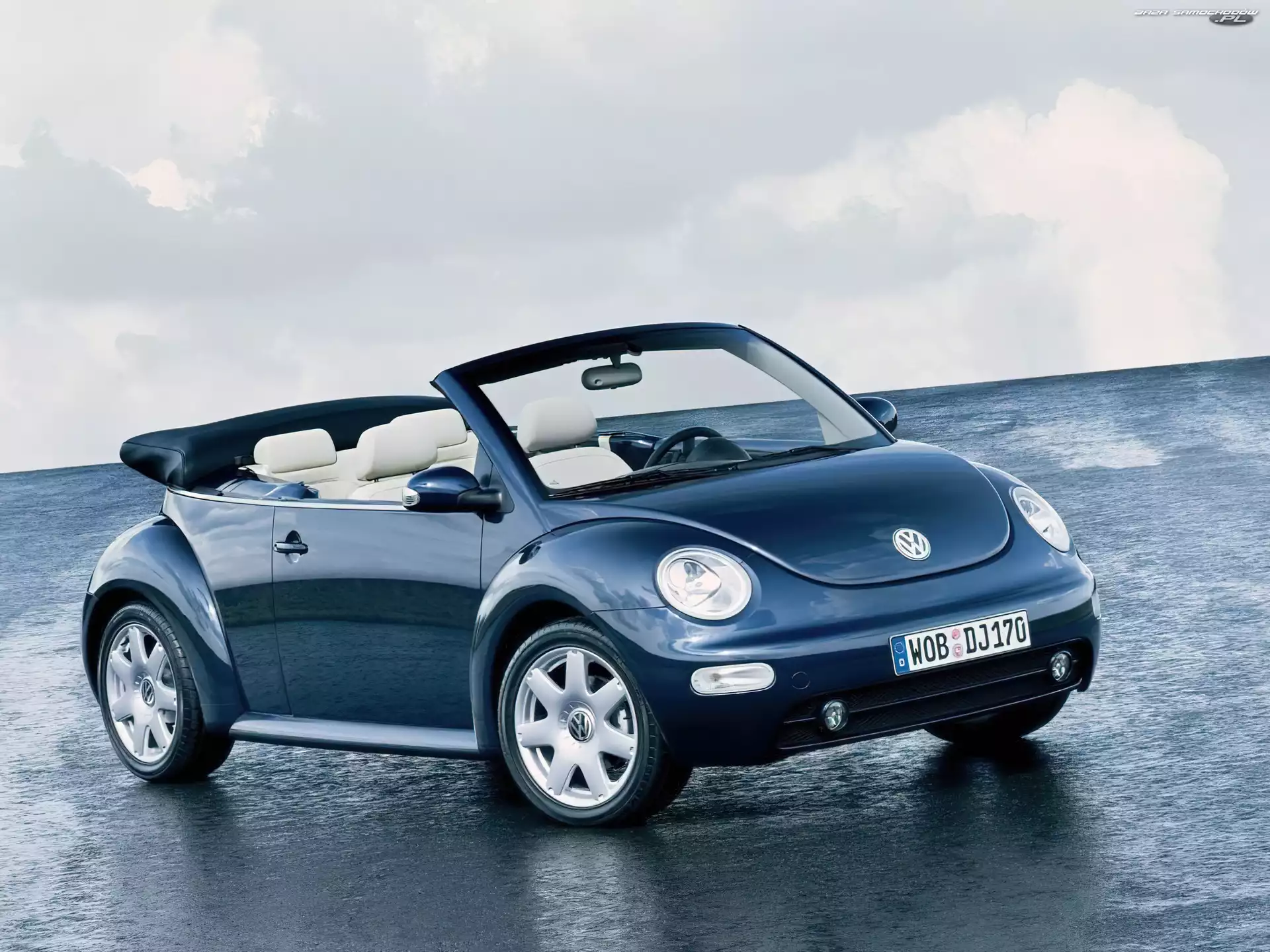 Cabrio, New Beetle, Biała Skóra