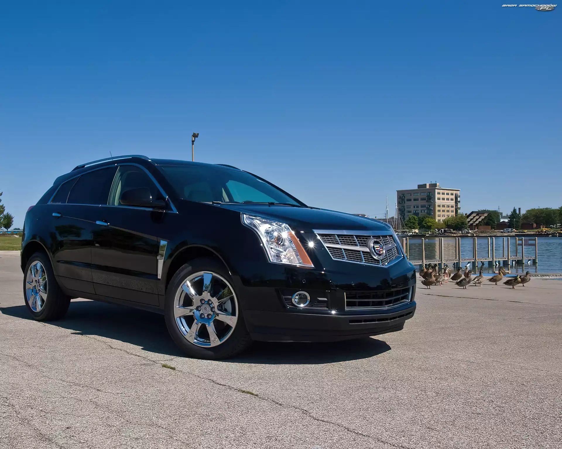 Czarny, Cadillac SRX, Alufelgi, Chromowane