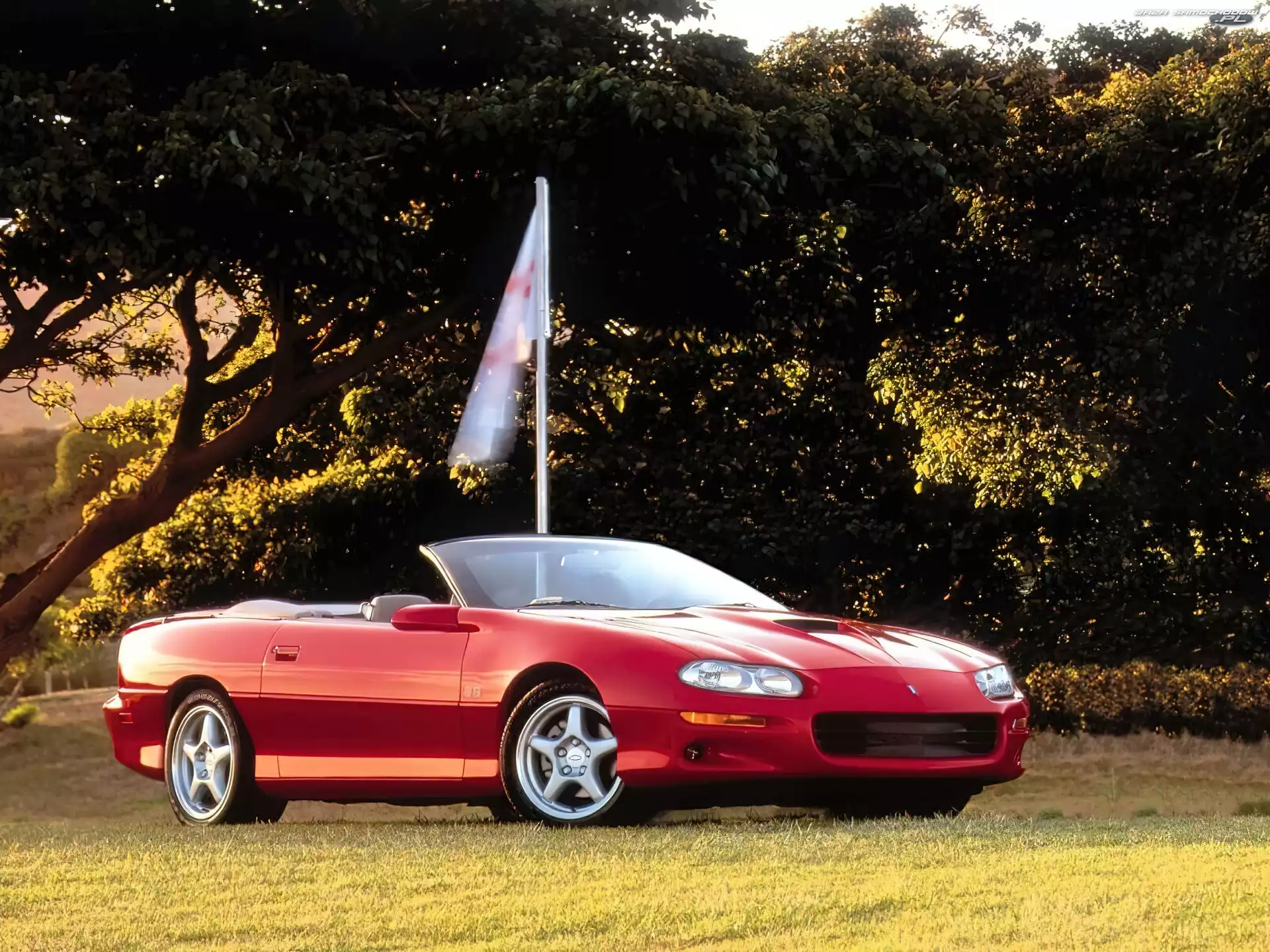 Cabrio, Camaro