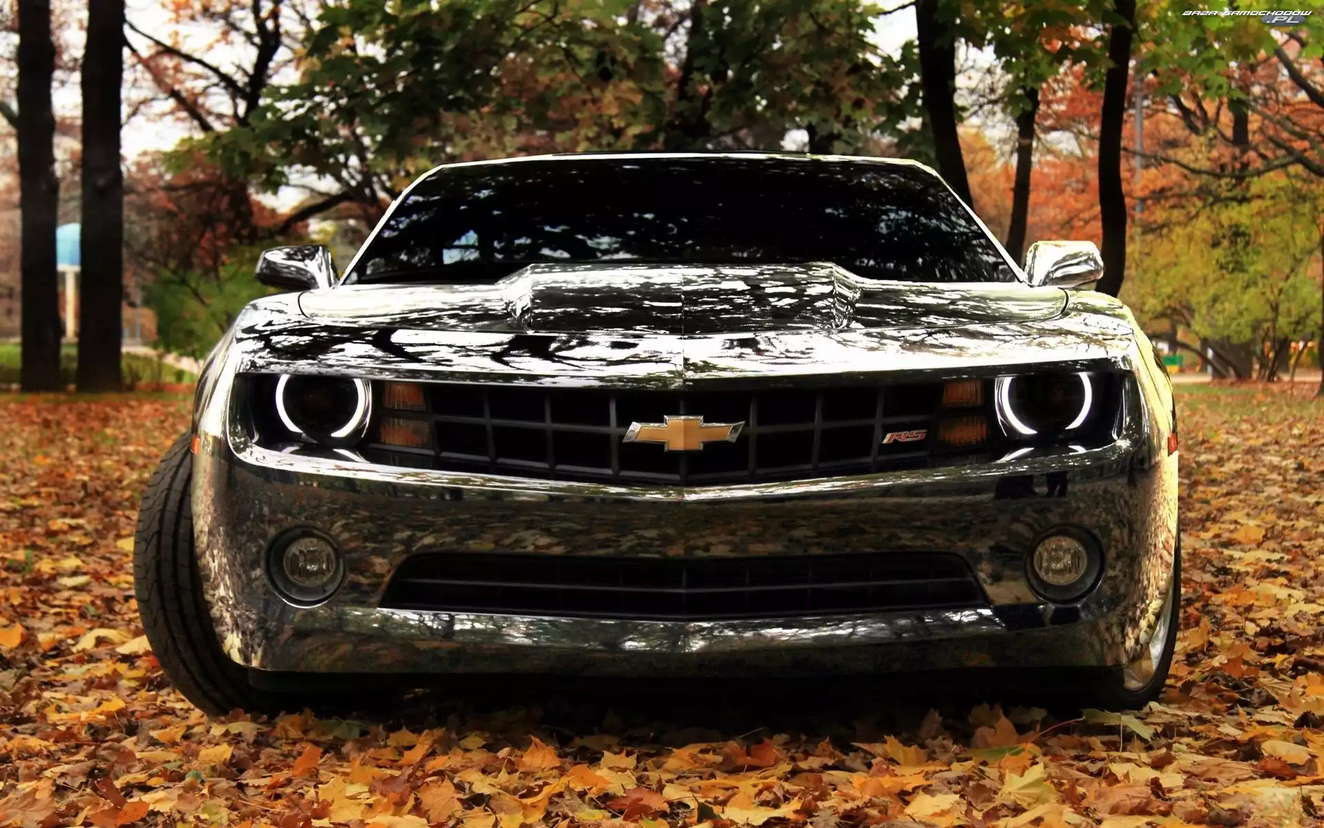 Chevrolet Camaro, Liście