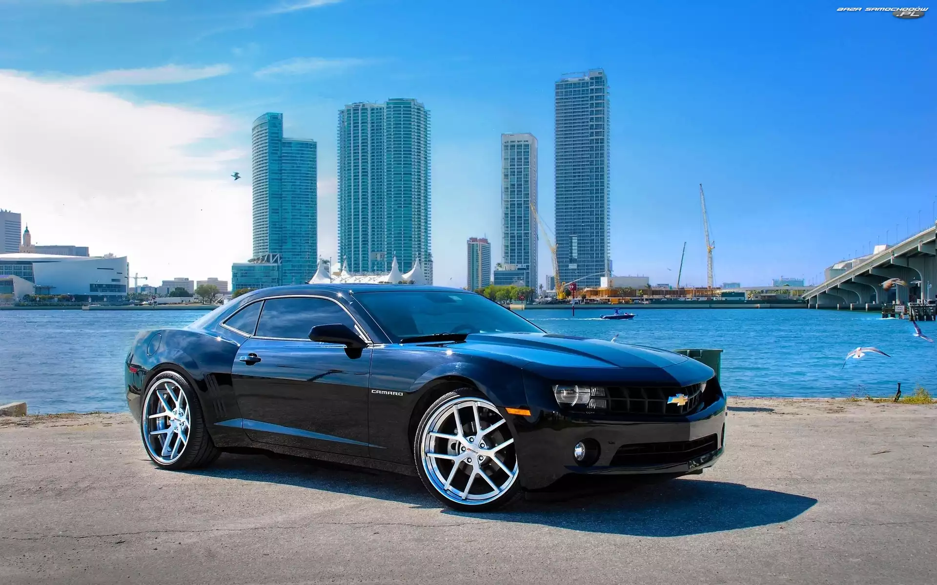 Camaro, Woda, Chevrolet, Miasto