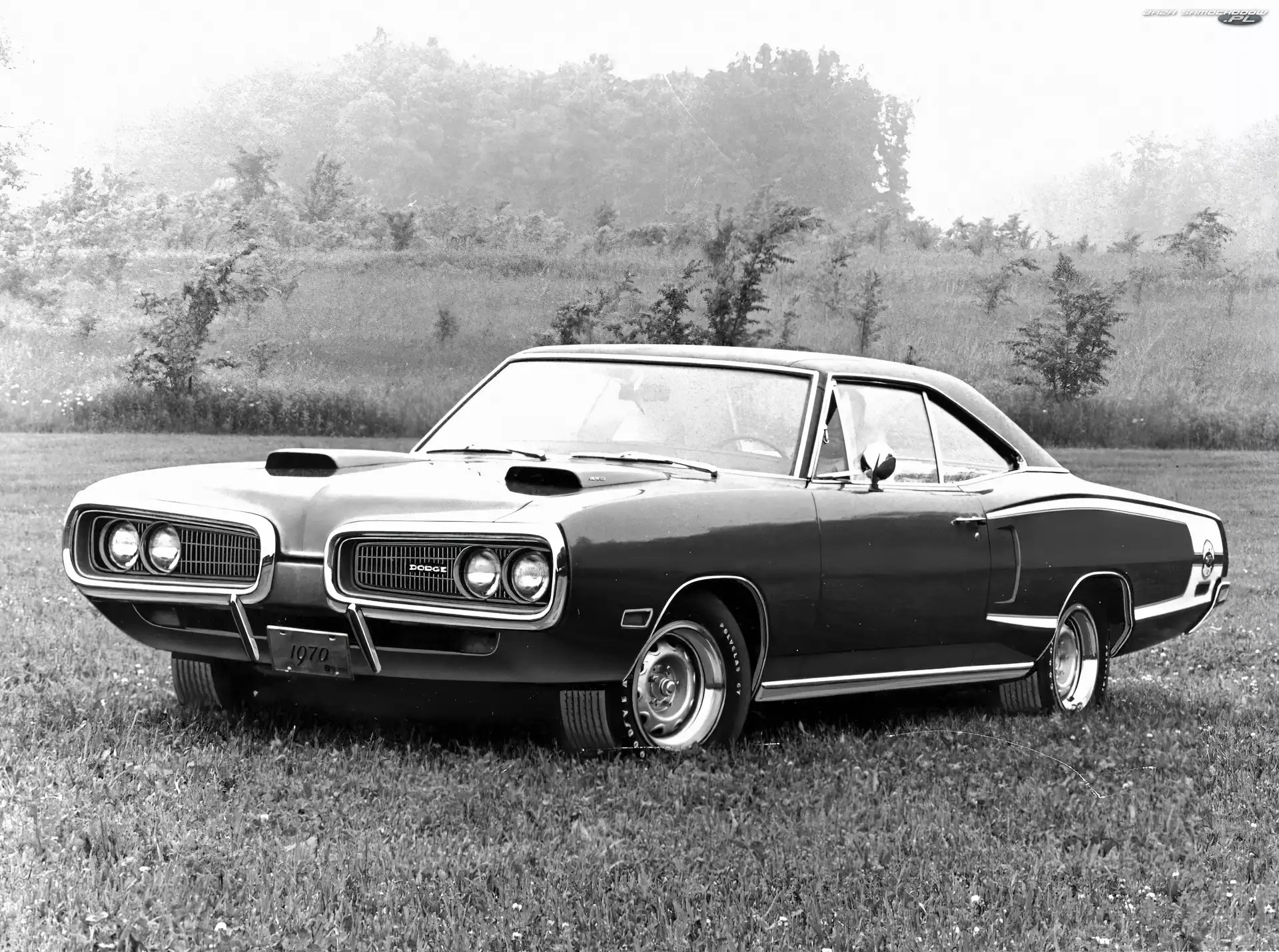 Car, Dodge Coronet, Muscle
