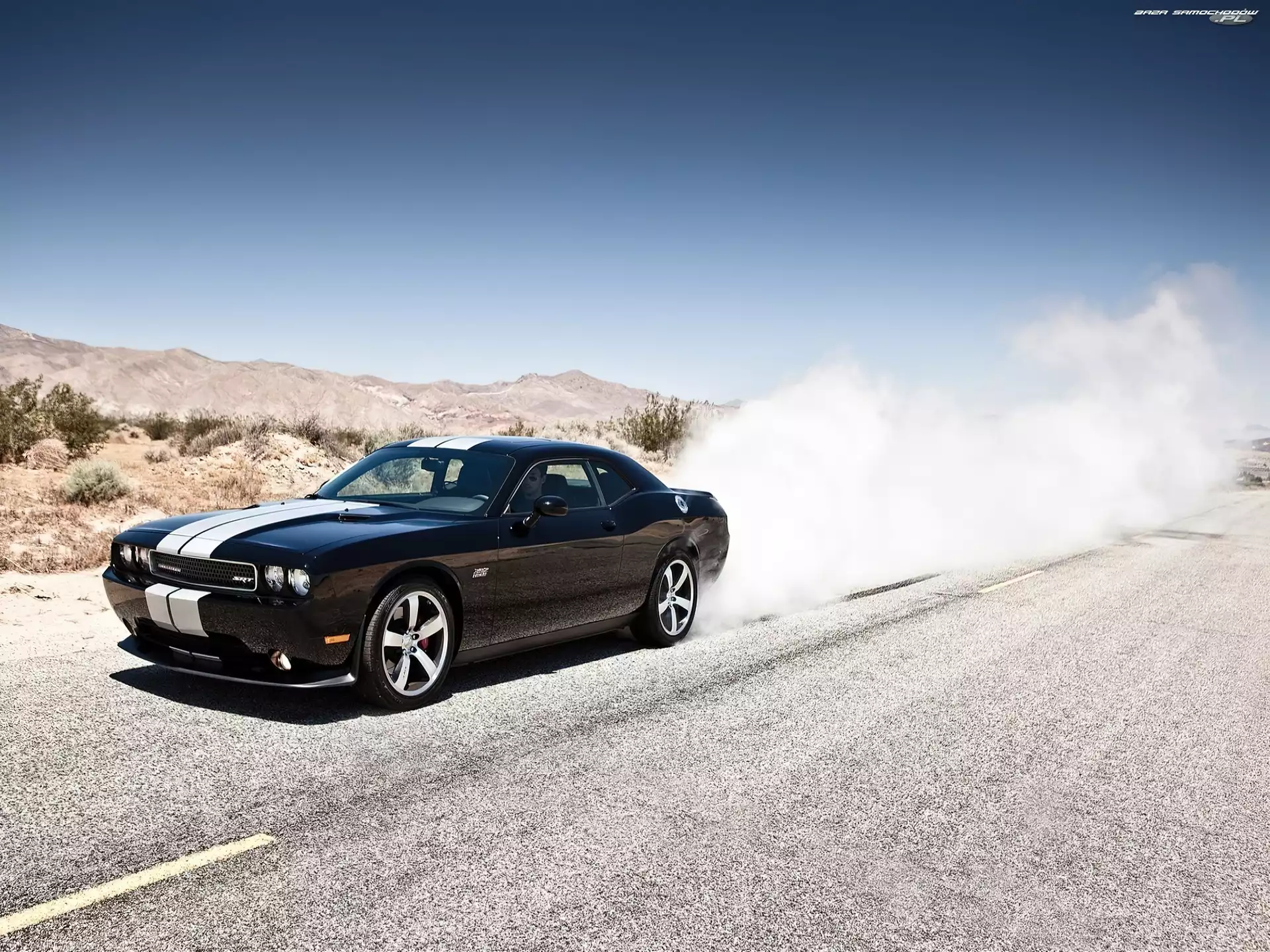 Car, Dodge Challenger STR8, Muscle