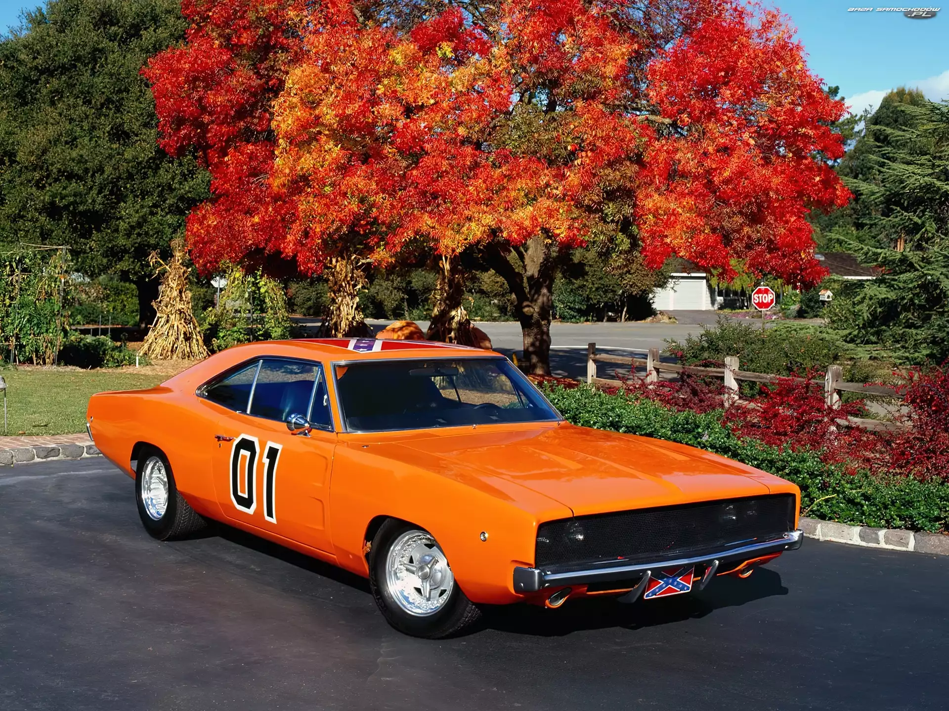 01, Dodge Charger
