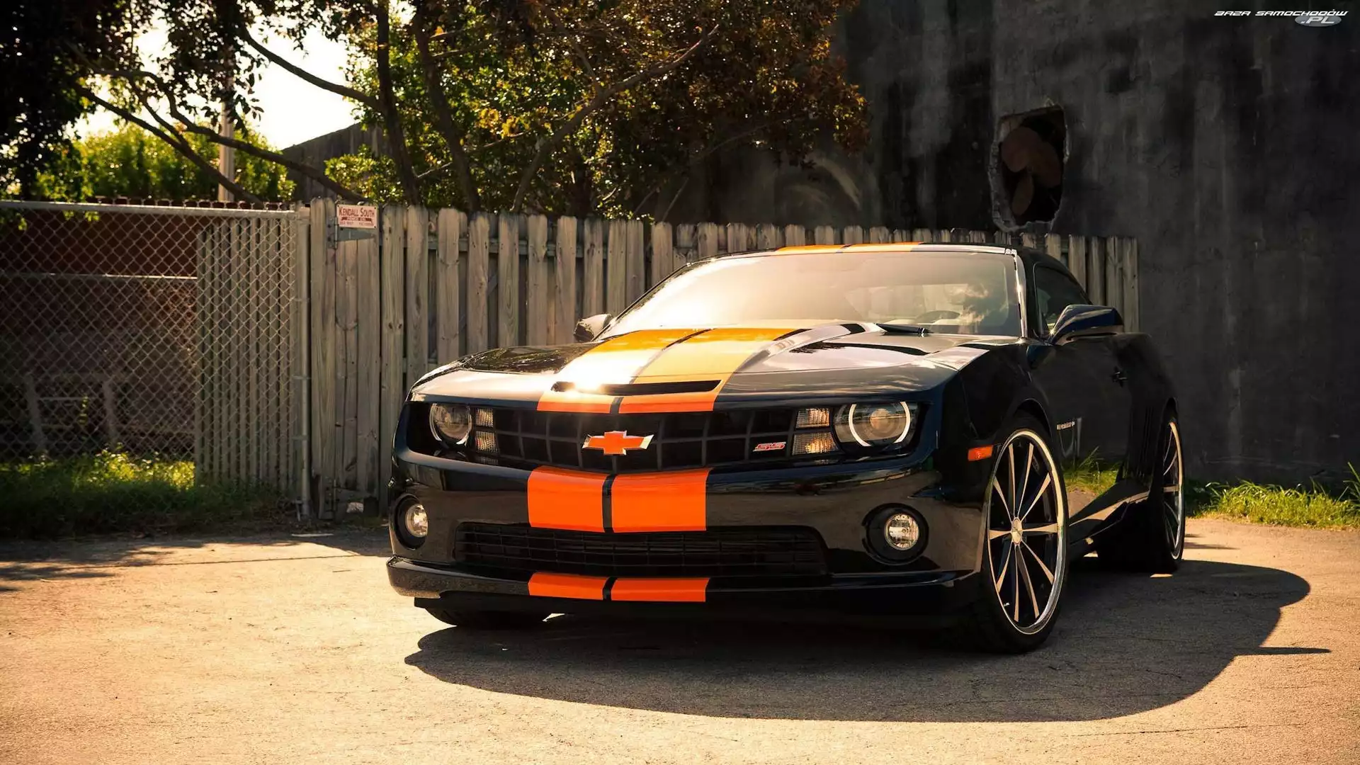 Czarny, Chevrolet, Camaro