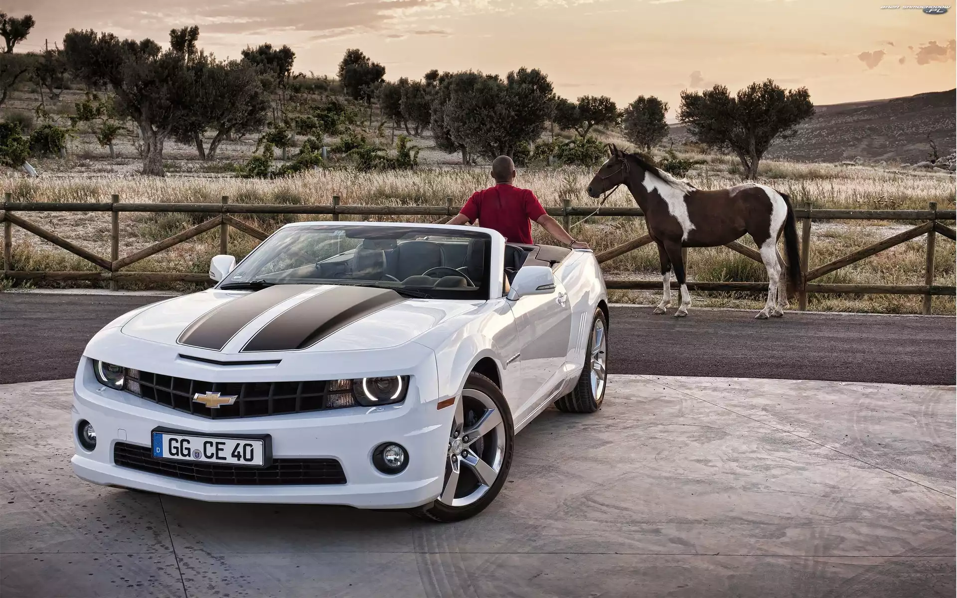 Koń, Chevrolet, Mężczyzna
