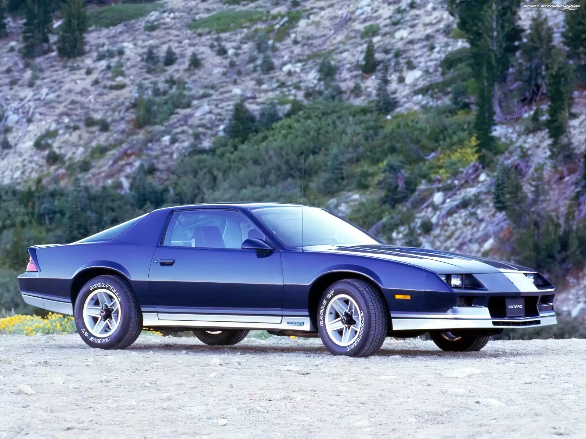 Chevrolet Camaro, Niebieski
