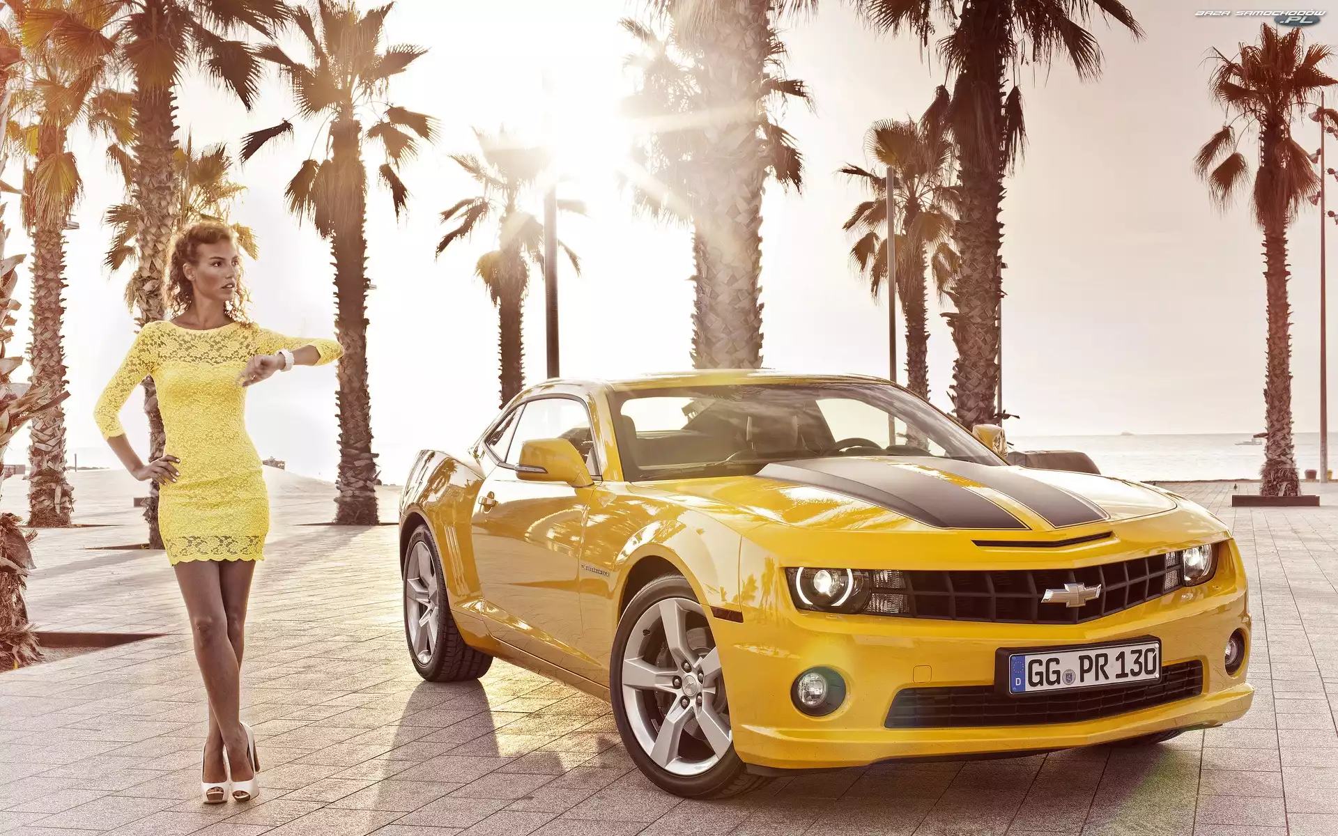Chevrolet Camaro, Palmy, Żółty, Kobieta