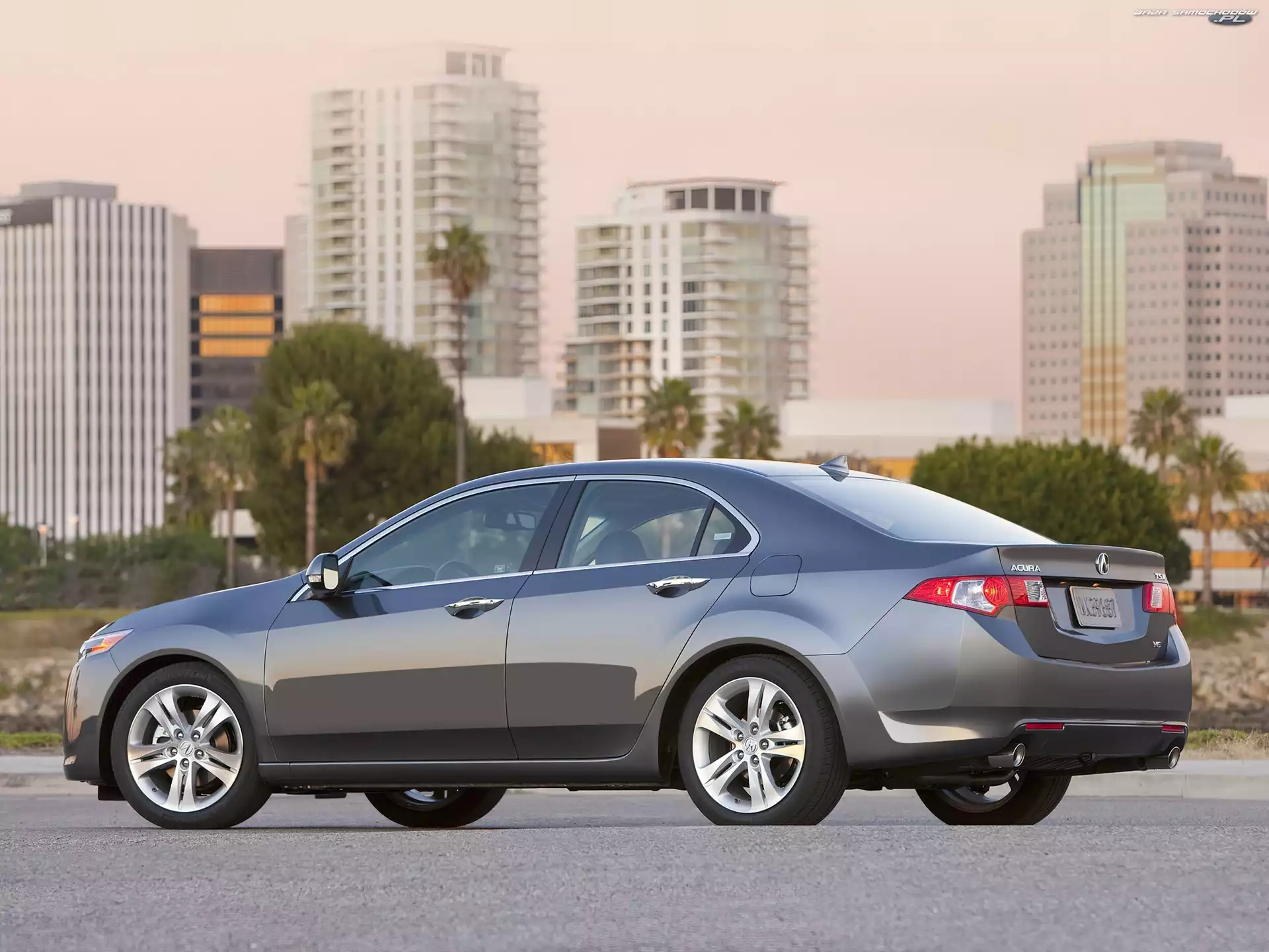Chrom, Acura TSX, Klamki