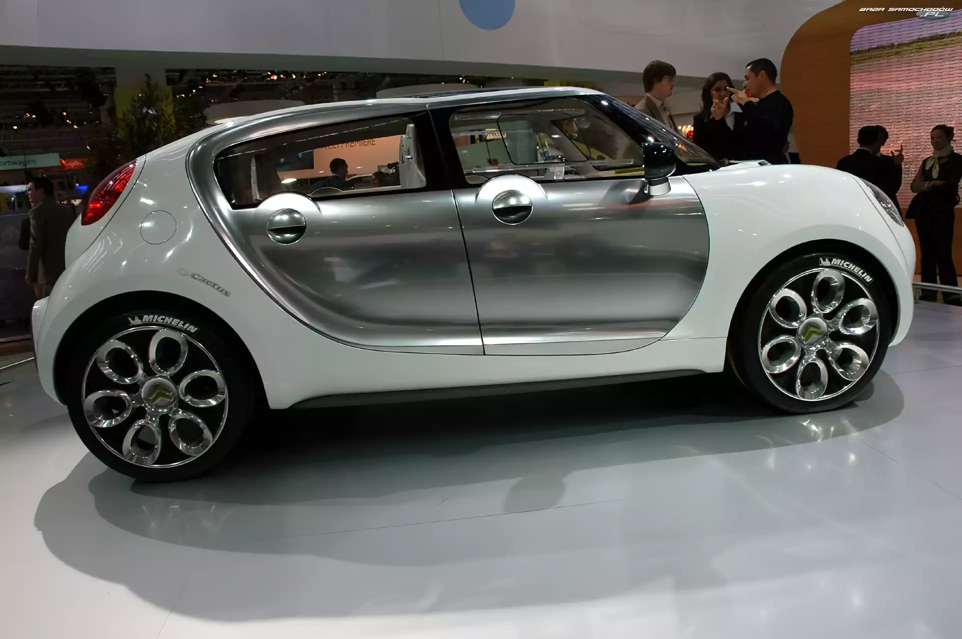 Wystawa, Citroen C-Cactus
