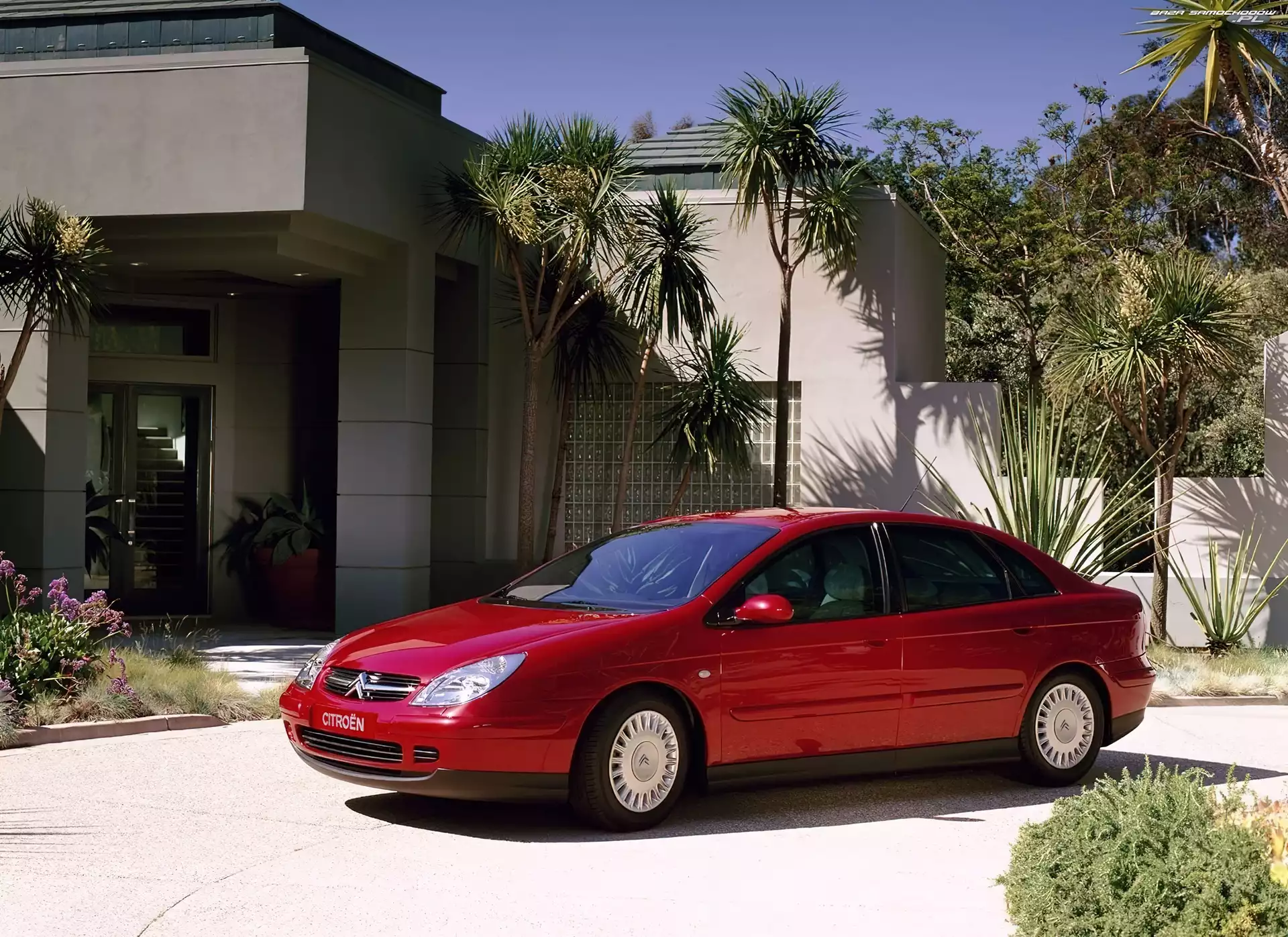 Citroen C5, Czerwony