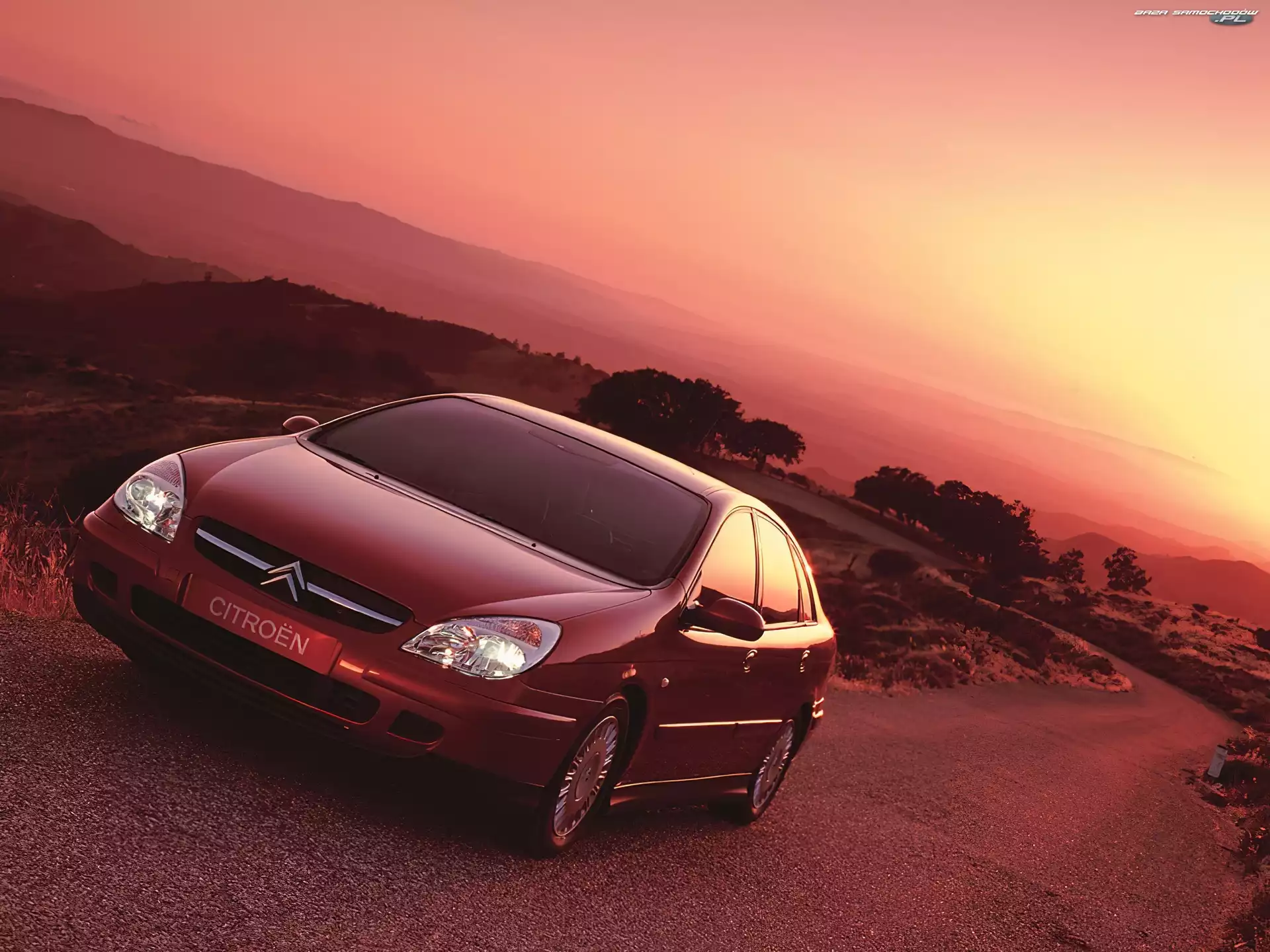Citroen Xsara, Czerwony