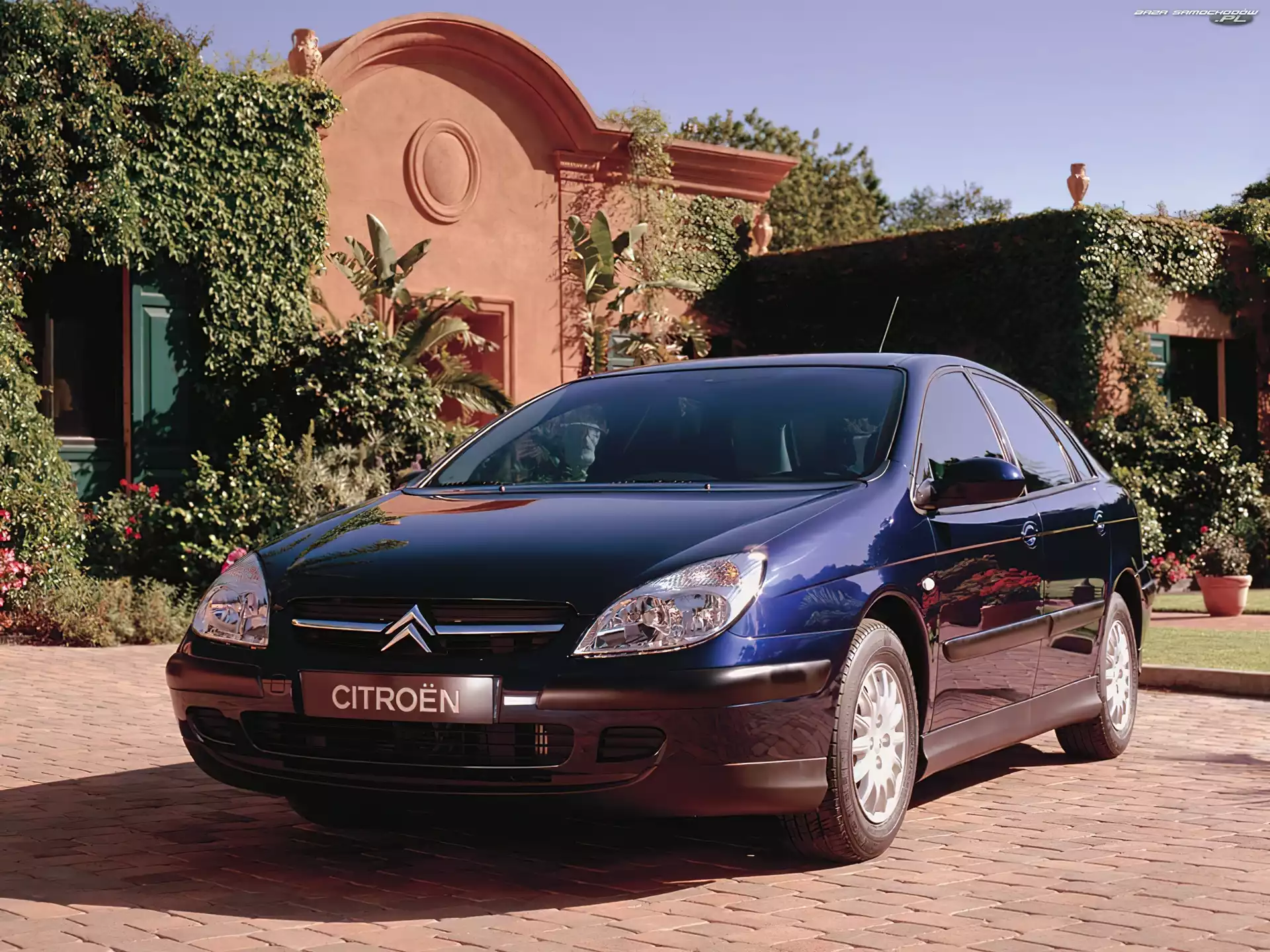 Citroen C5, Granatowy