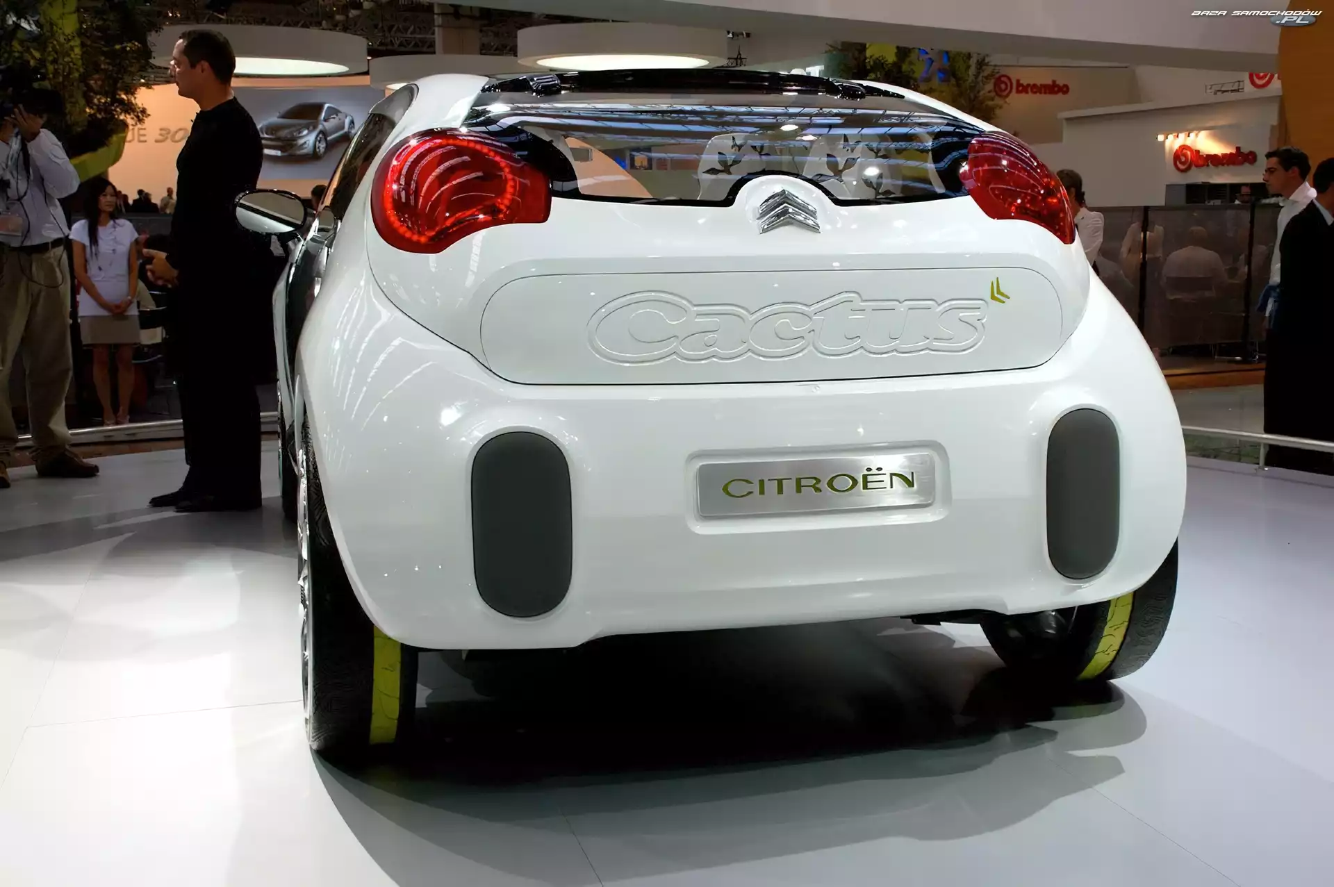 Citroen C-Cactus, Tył, Premiera, Lampy