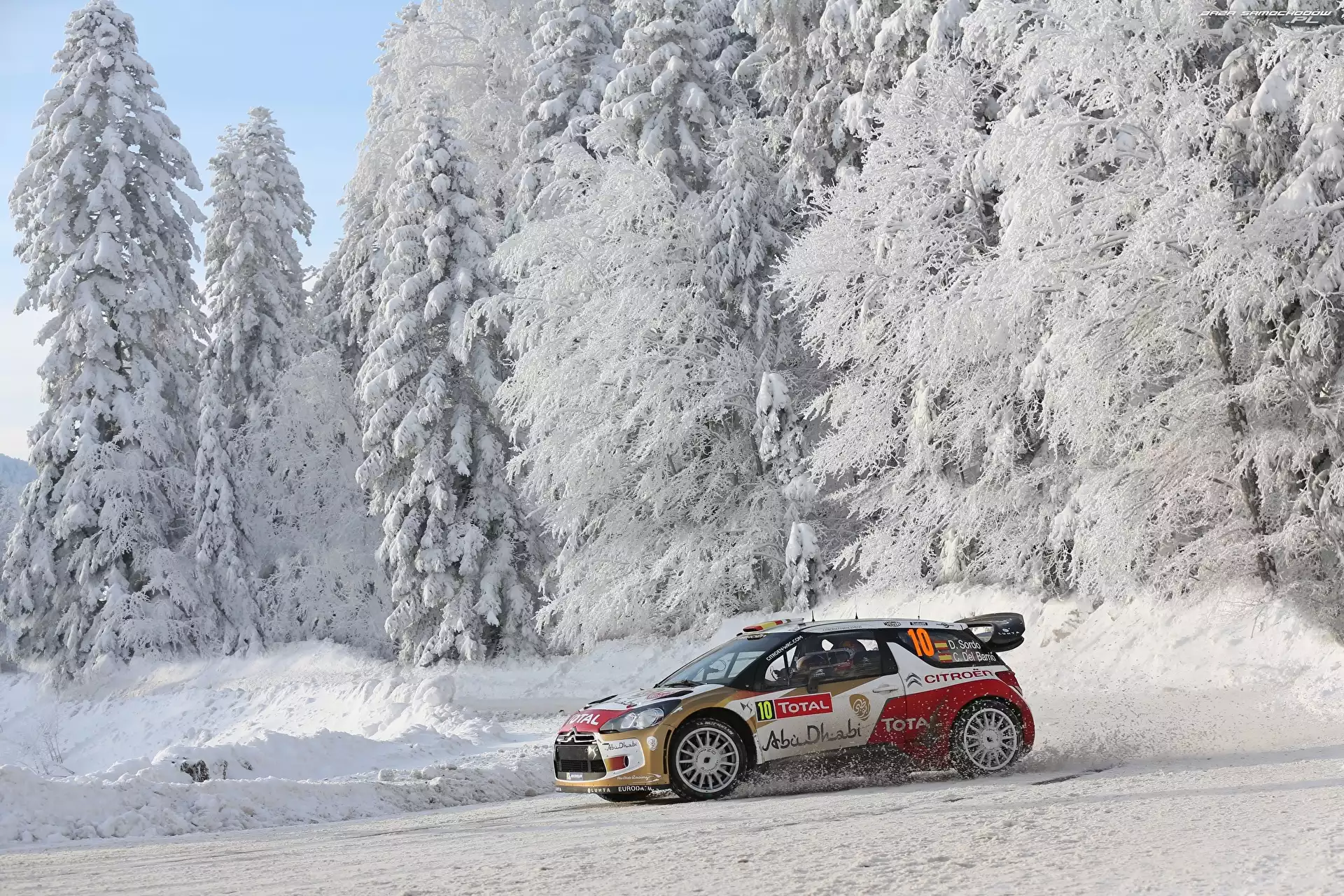 Citroen DS3, Zima, Las
