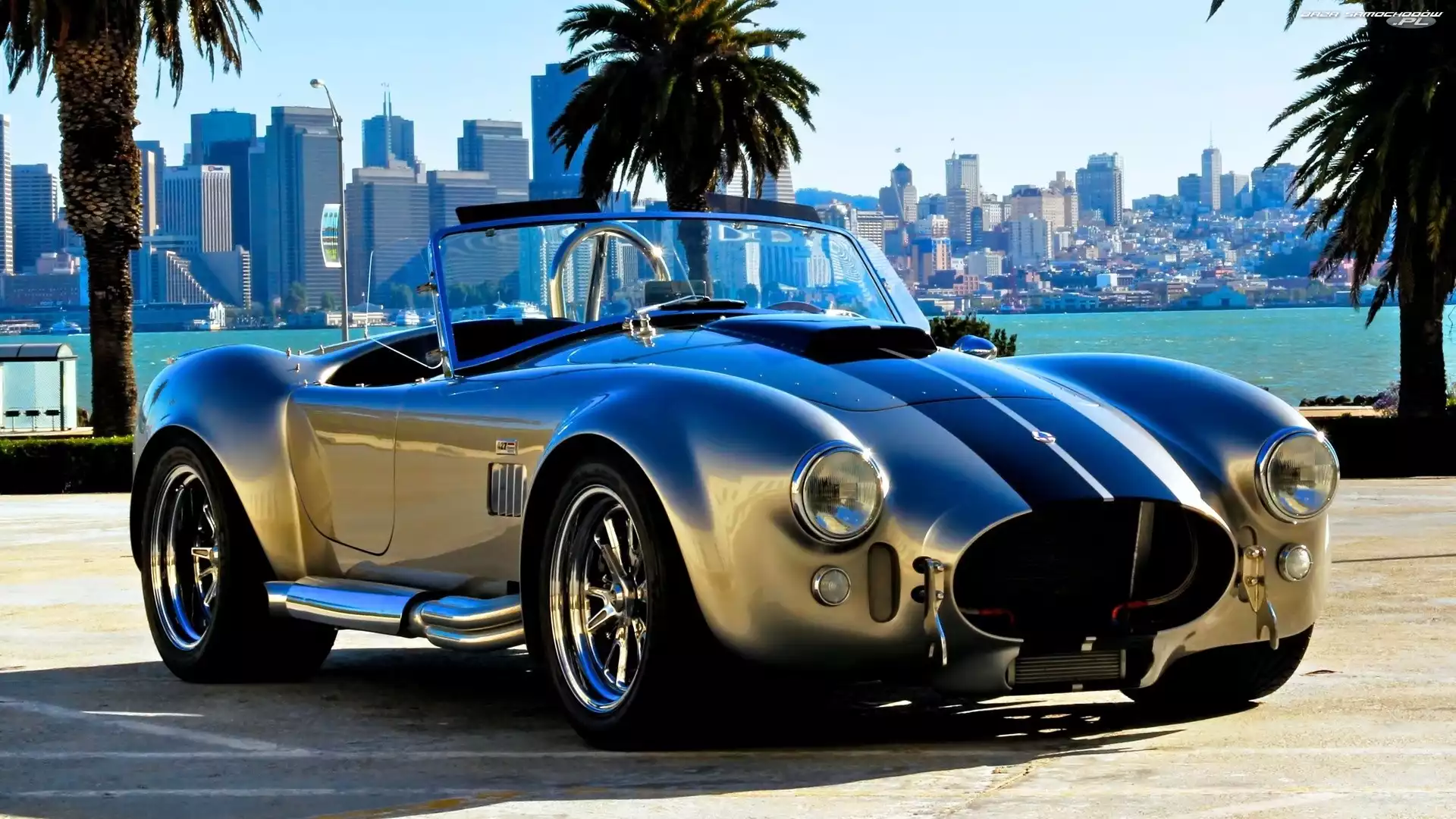 Cobra, Tuningowane, Shelby, Zabytkowy