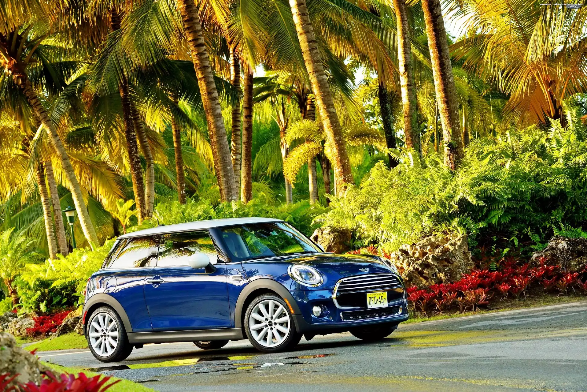 Cooper F56, Palmy, Mini, Droga