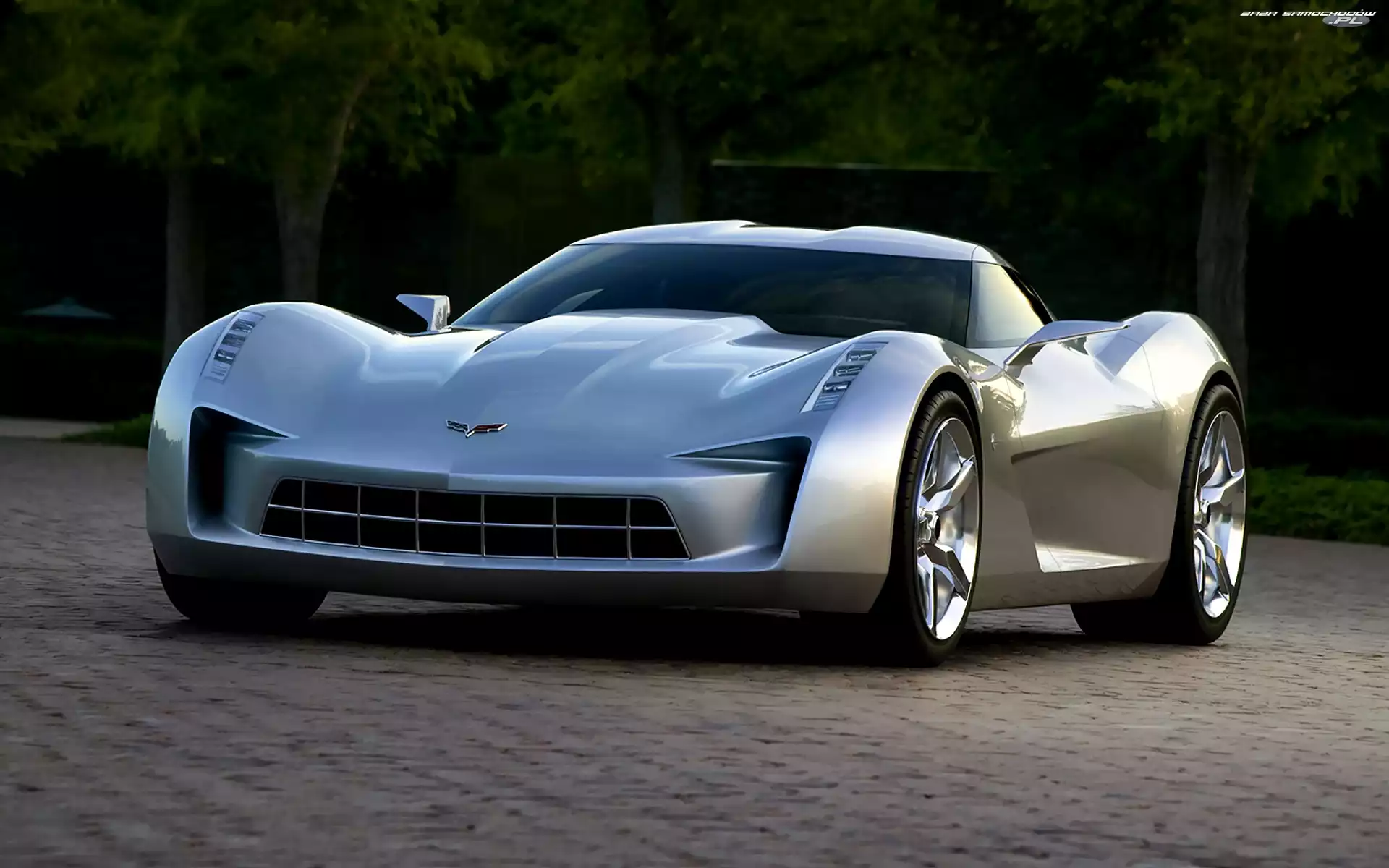 Corvette, Prototyp, Chevrolet, Stingray