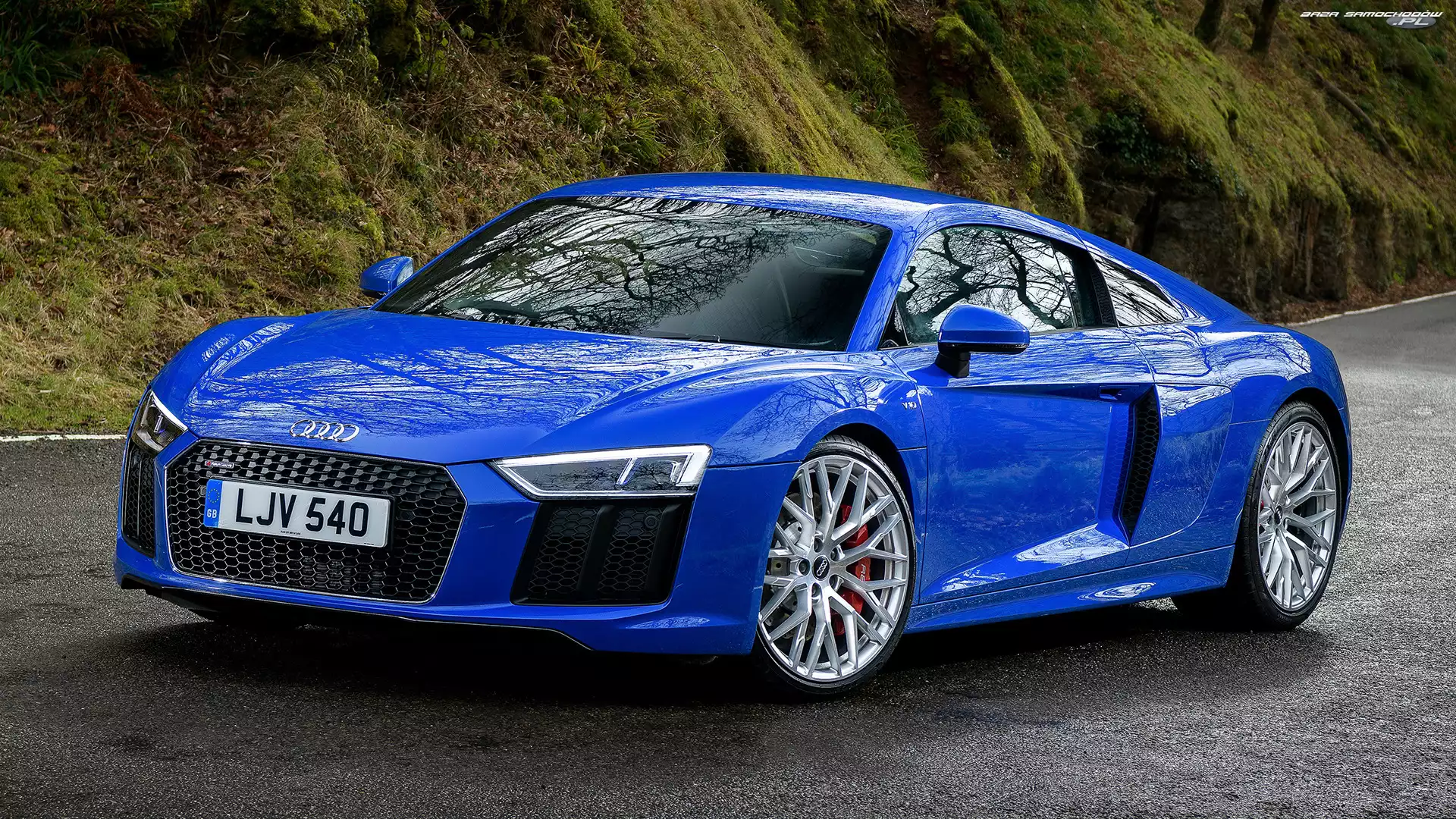Coupe, Niebieskie, Audi R8