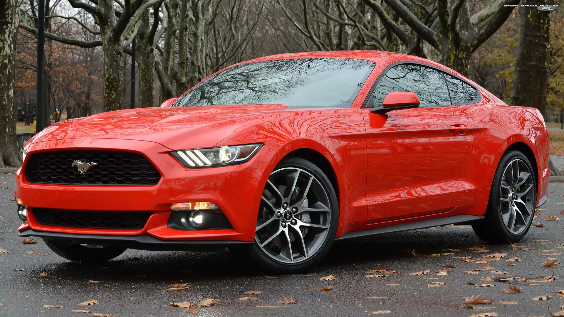 Coupe, Czerwony, Ford Mustang