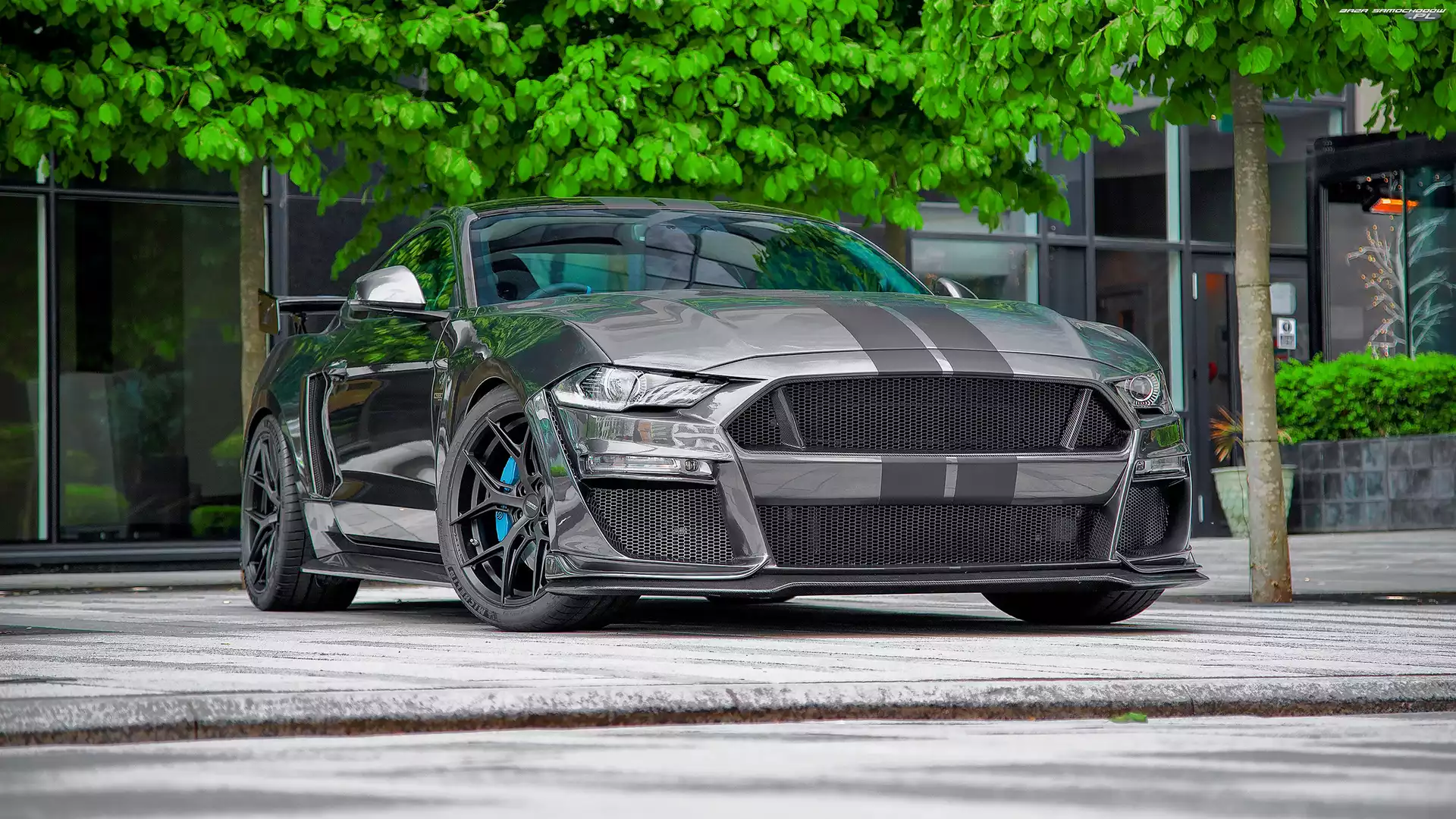 CS850GT, Ford Mustang, Clive Sutton