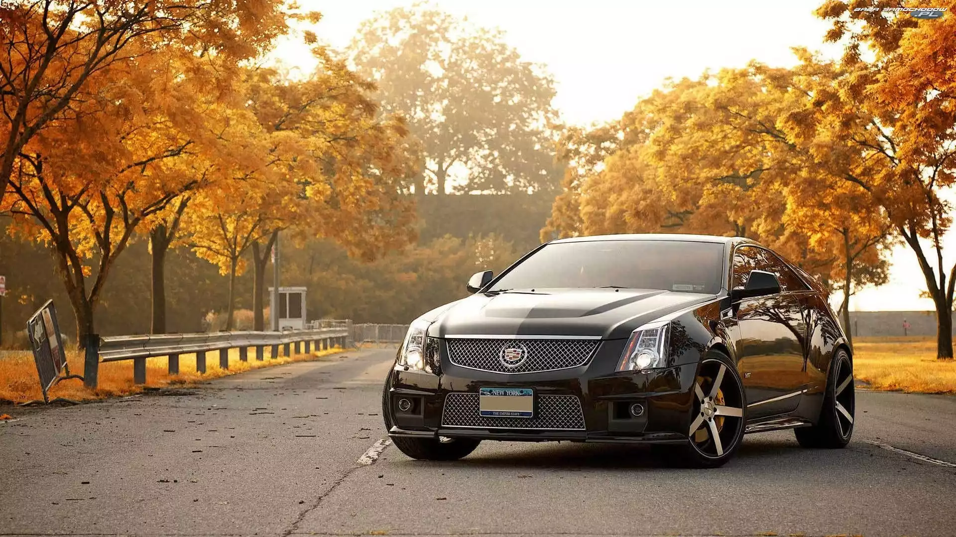 CTS-V, Droga, Cadillac, Drzewa