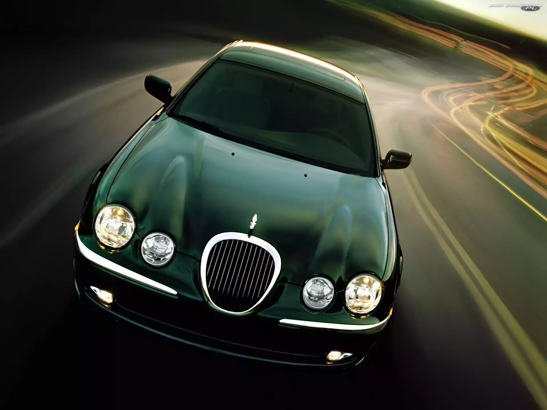 Jaguar, Czarny