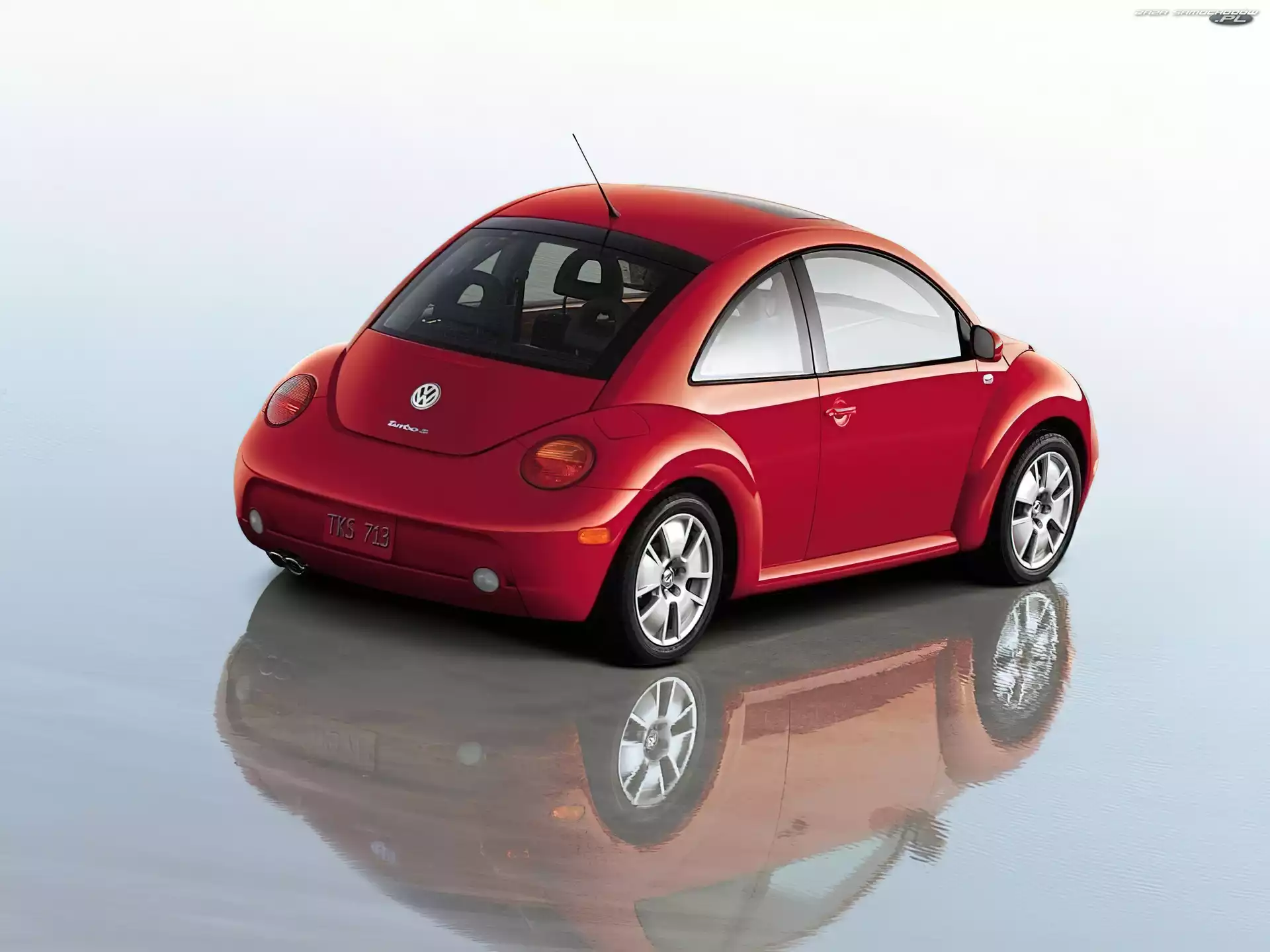 Czerwone beetle