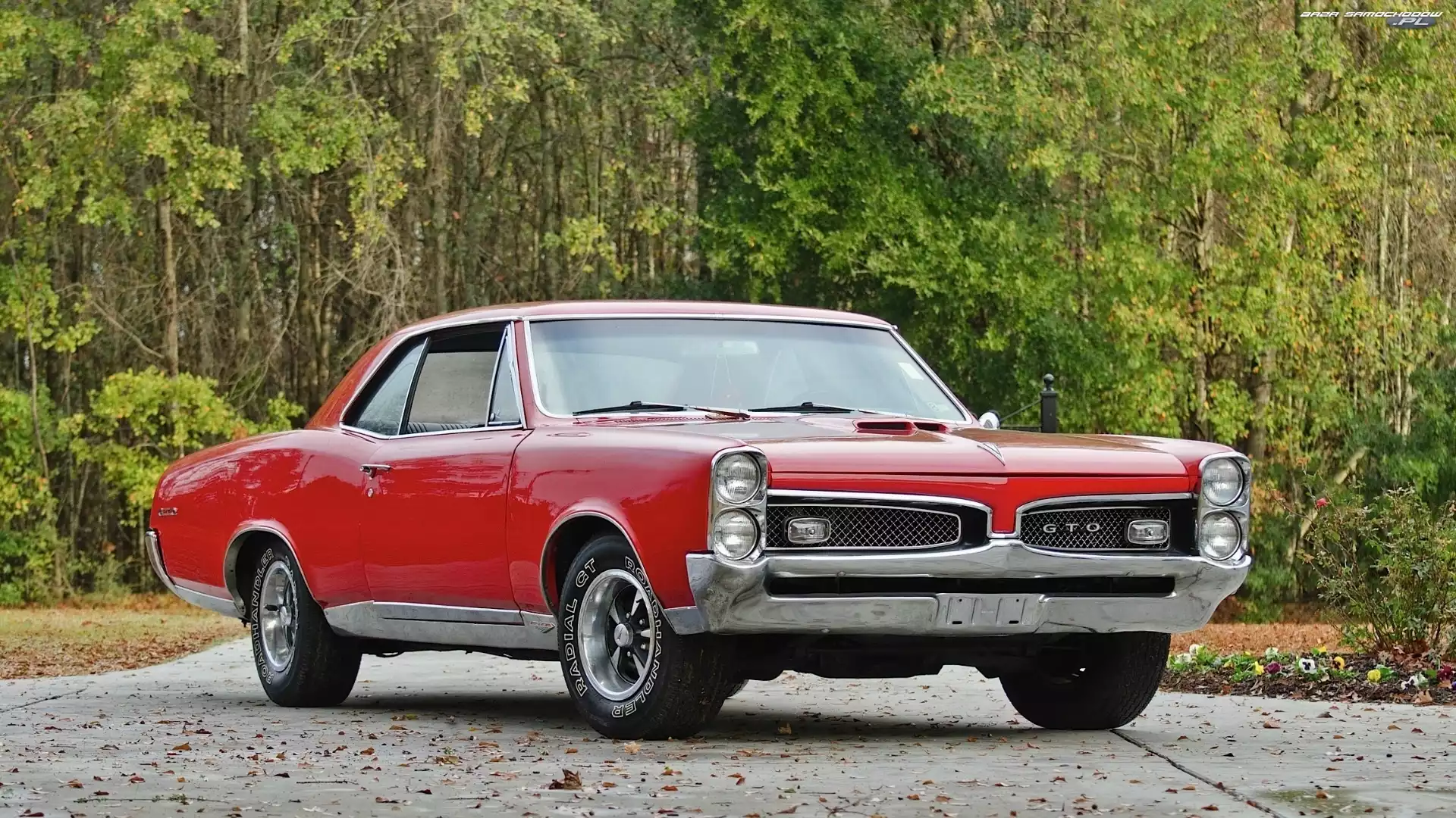 Czerwony, Pontiac, Zabytek, 1967, Samochód, GTO