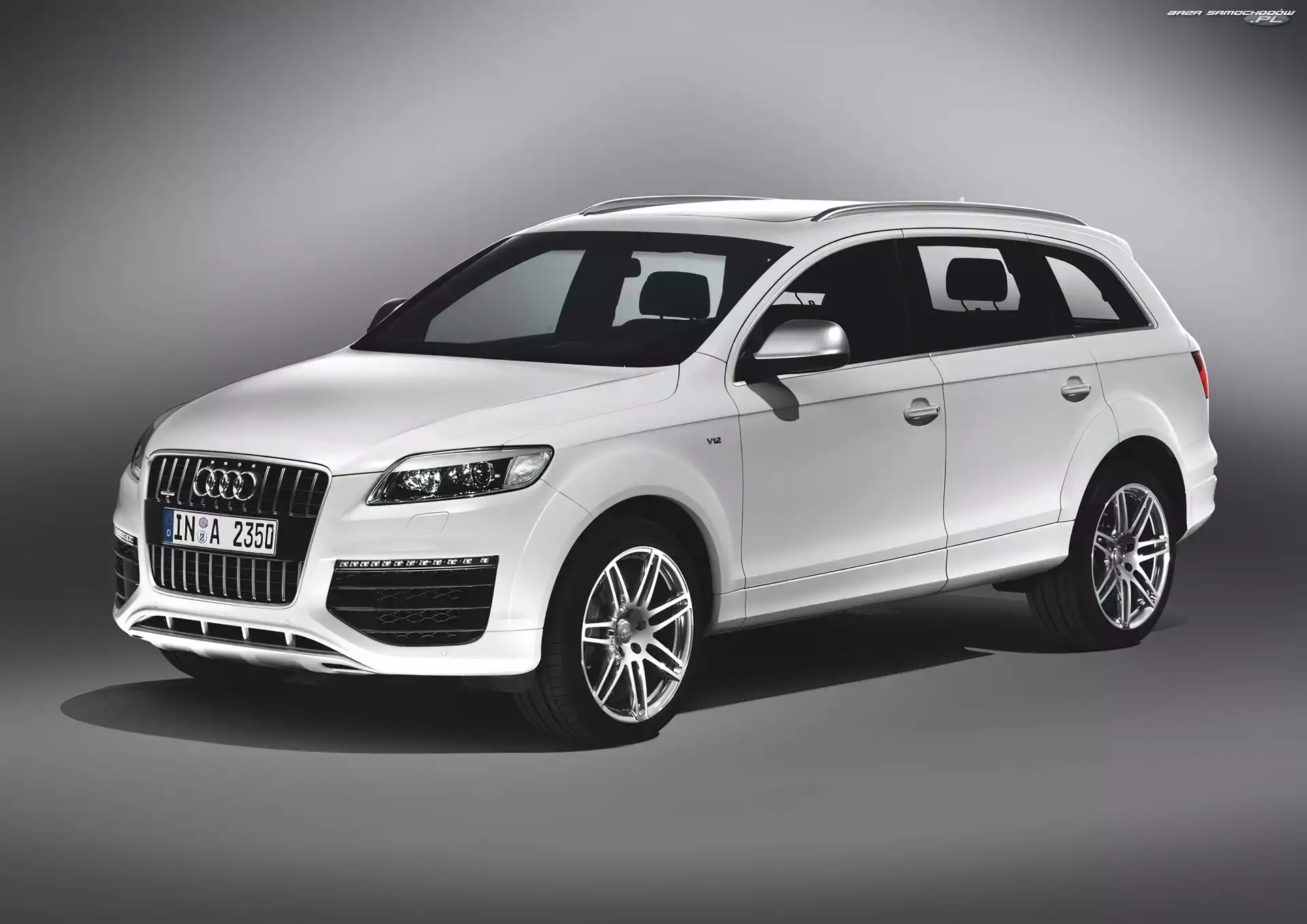 Dachowe, Audi Q7, Relingi