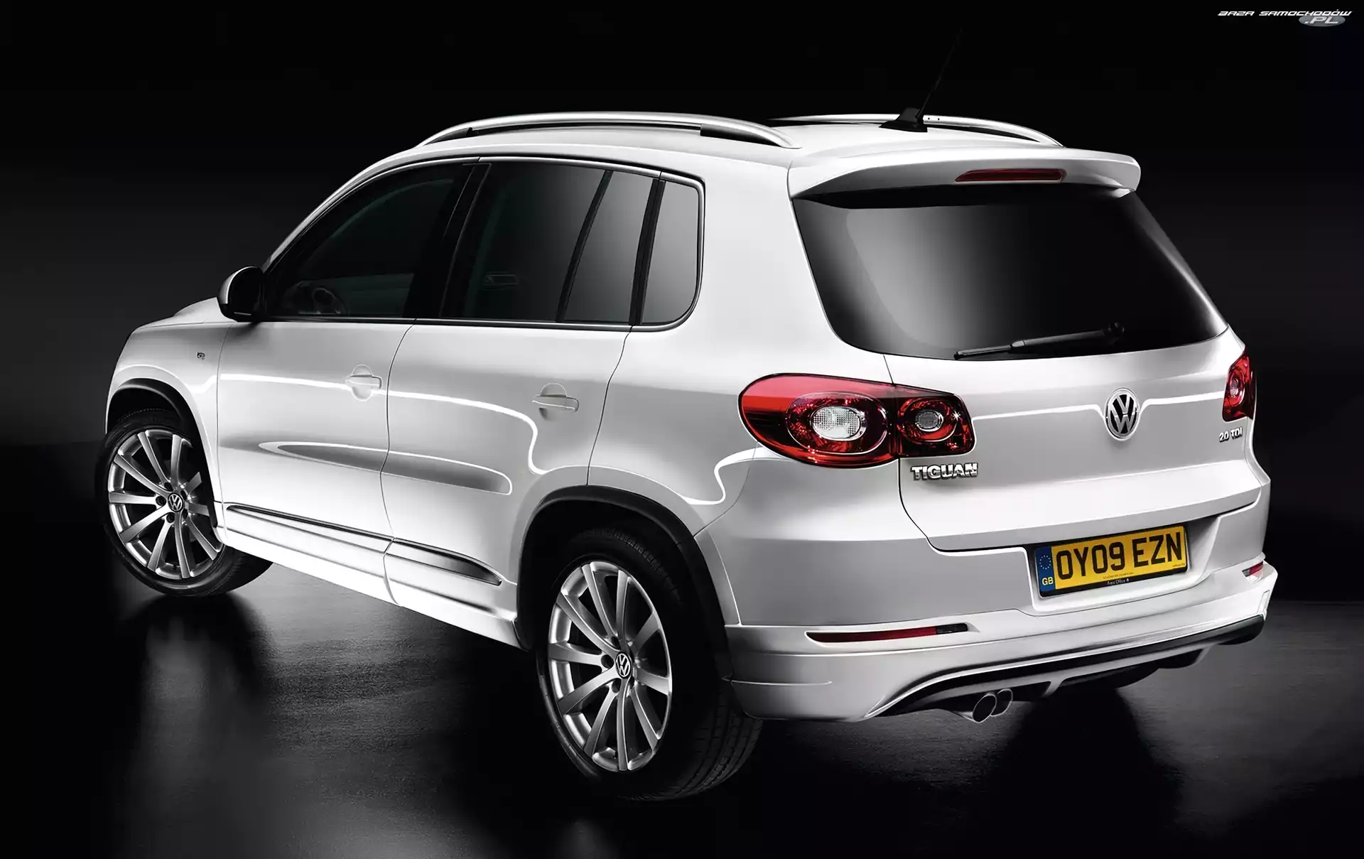 Dachowe, Volkswagen Tiguan, Relingi