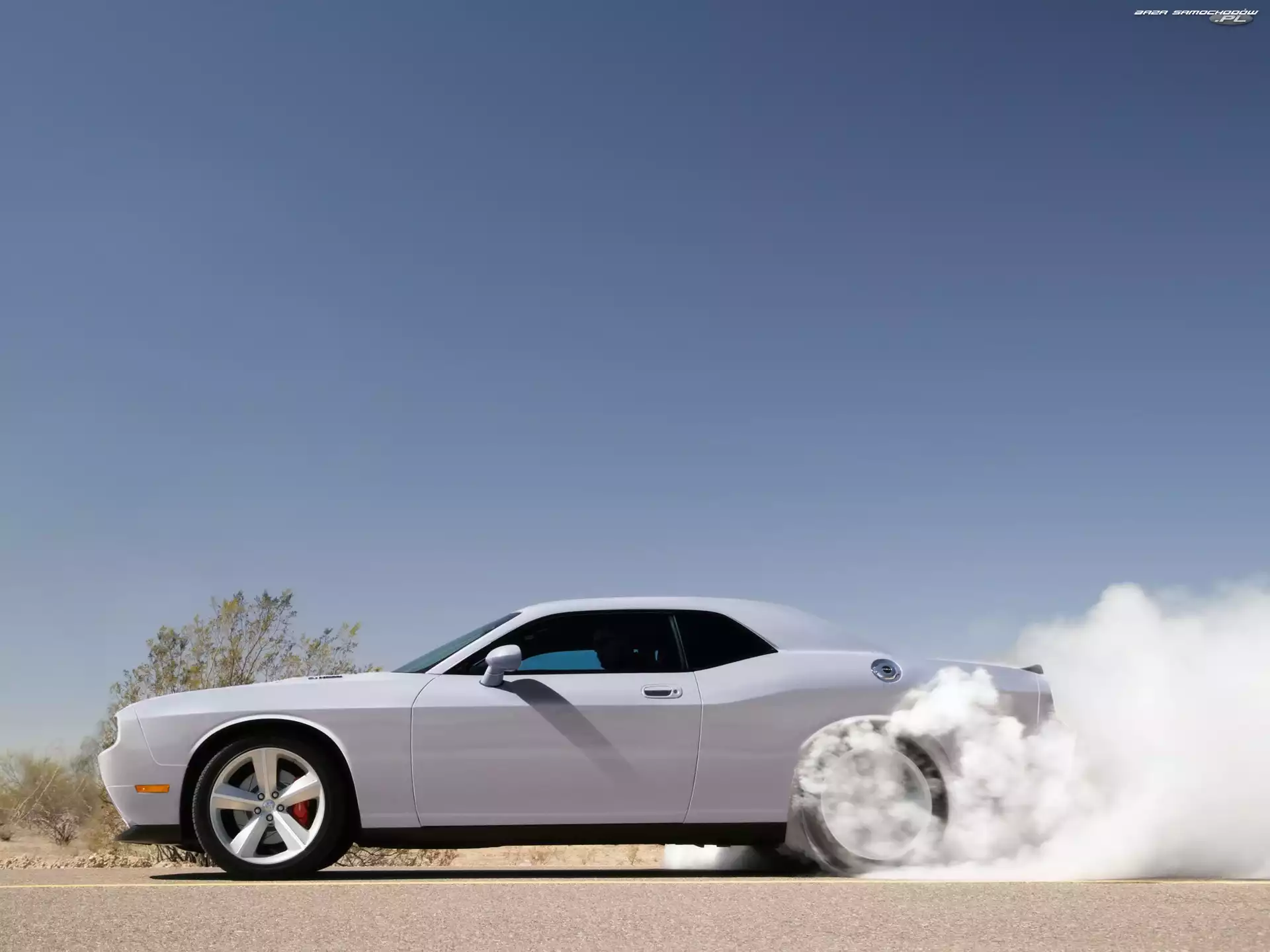 Dodge Challenger, Mocy, Biały, Pokaz
