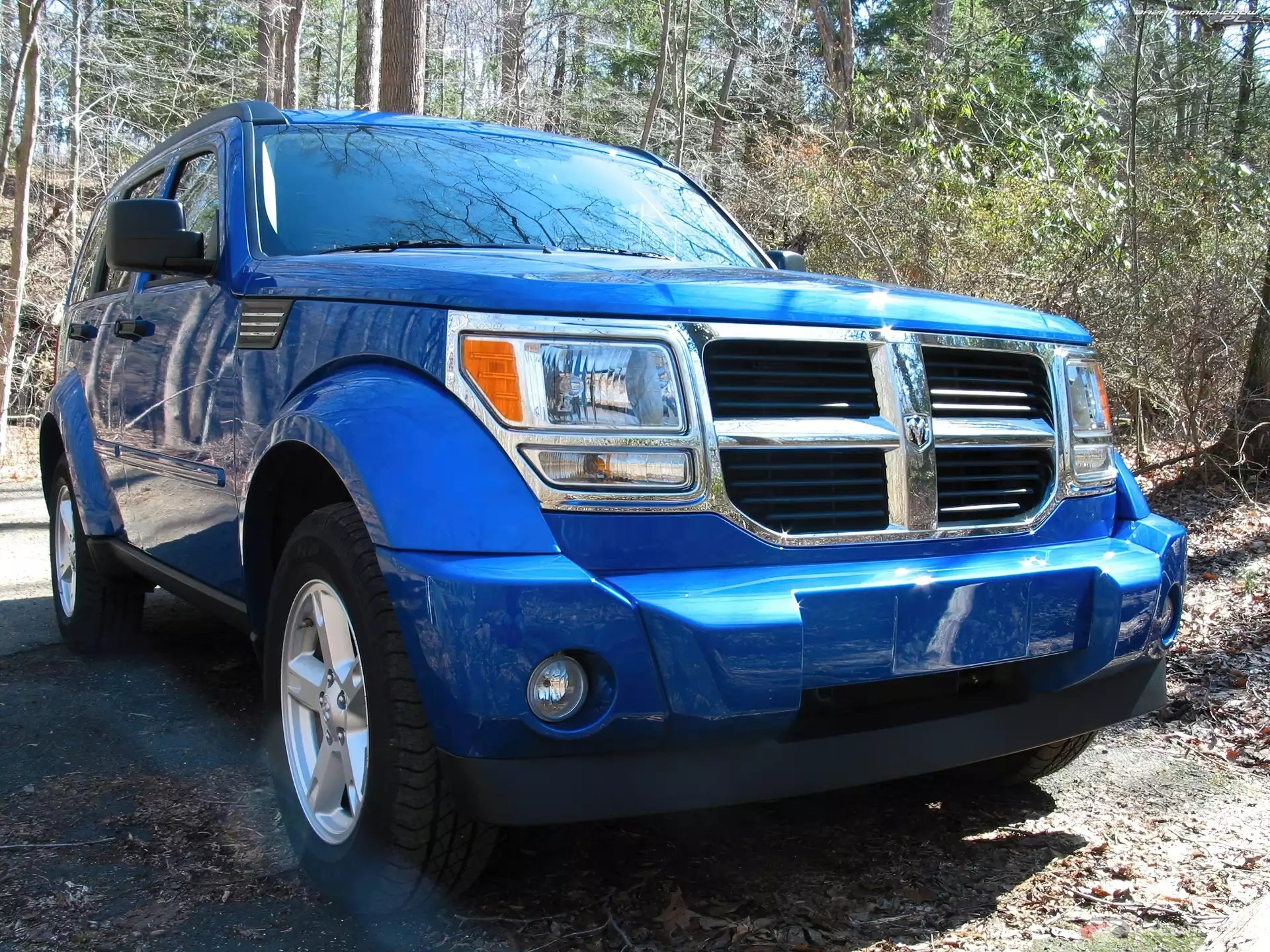 Niebieski, Dodge Nitro, Terenie, W