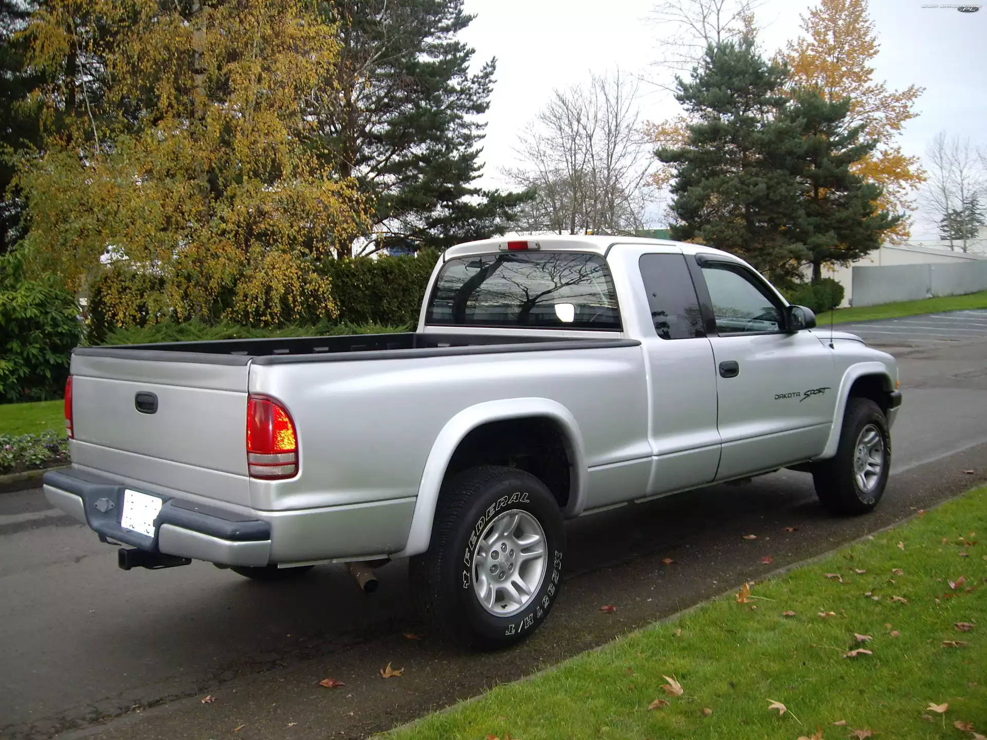 Dodge Dakota, Tył, Srebrny, Lampa