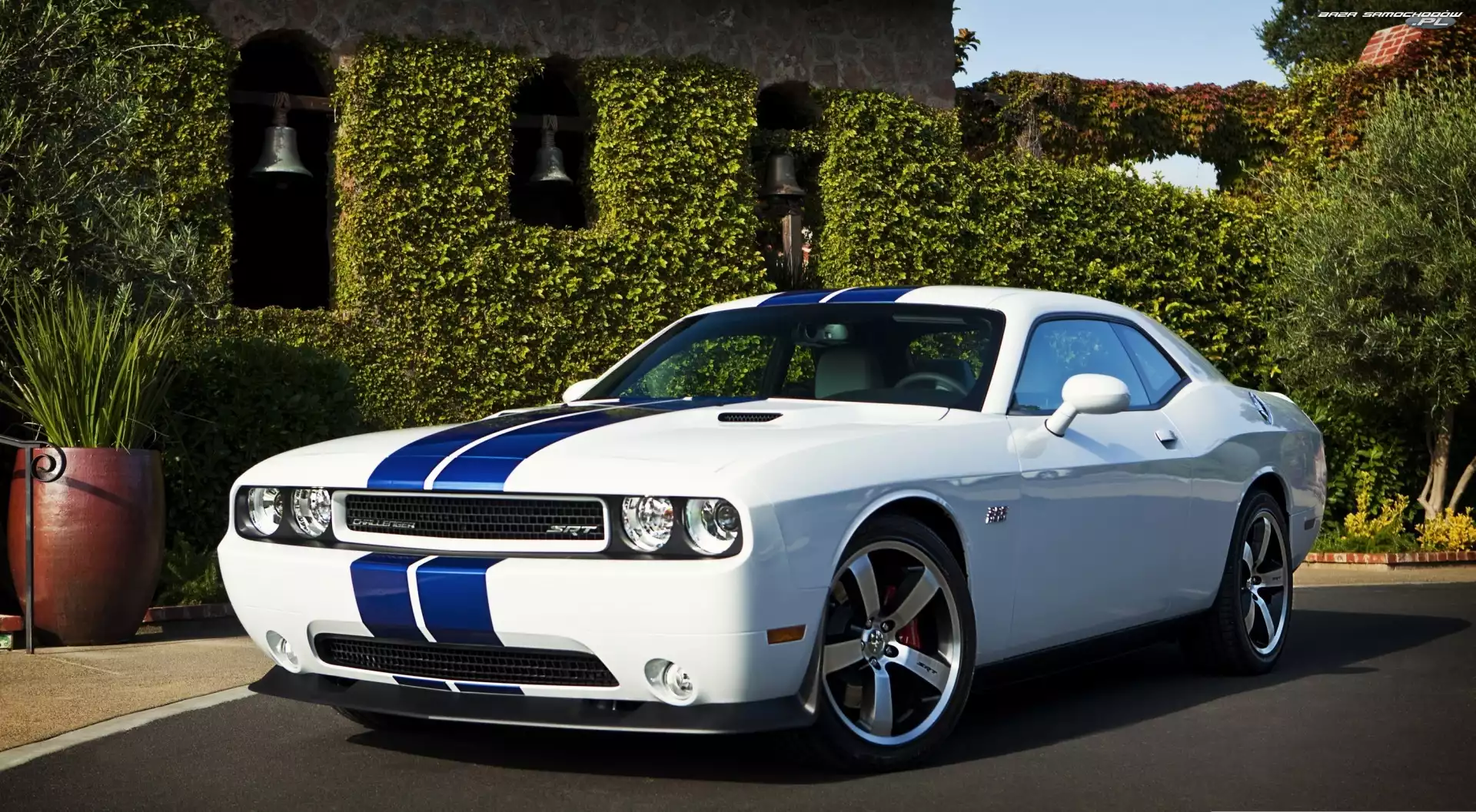 Dodge Challenger SRT8, Dom