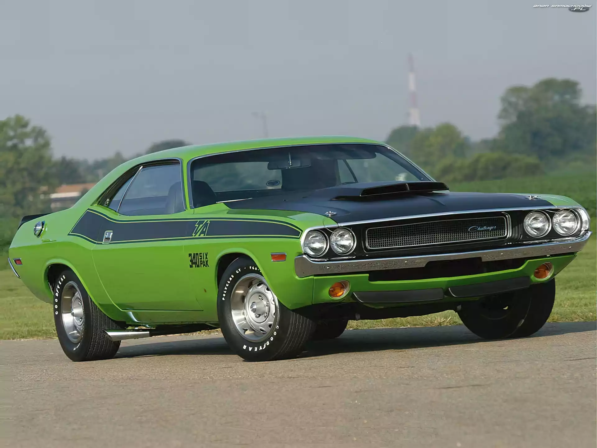 Zielony, Dodge Challenger, Maska, Wlot