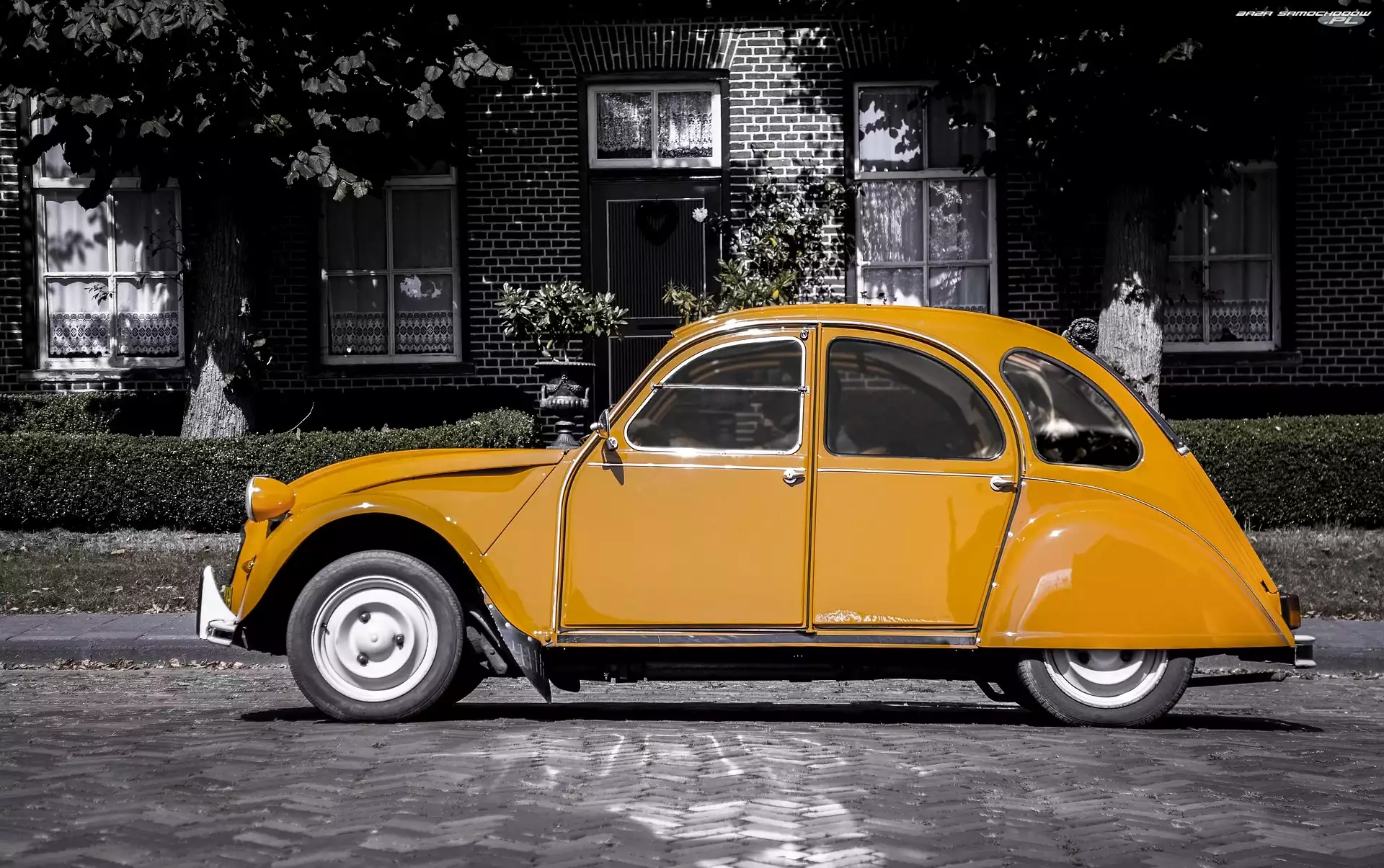 Dom, Żółty, Citroën 2CV