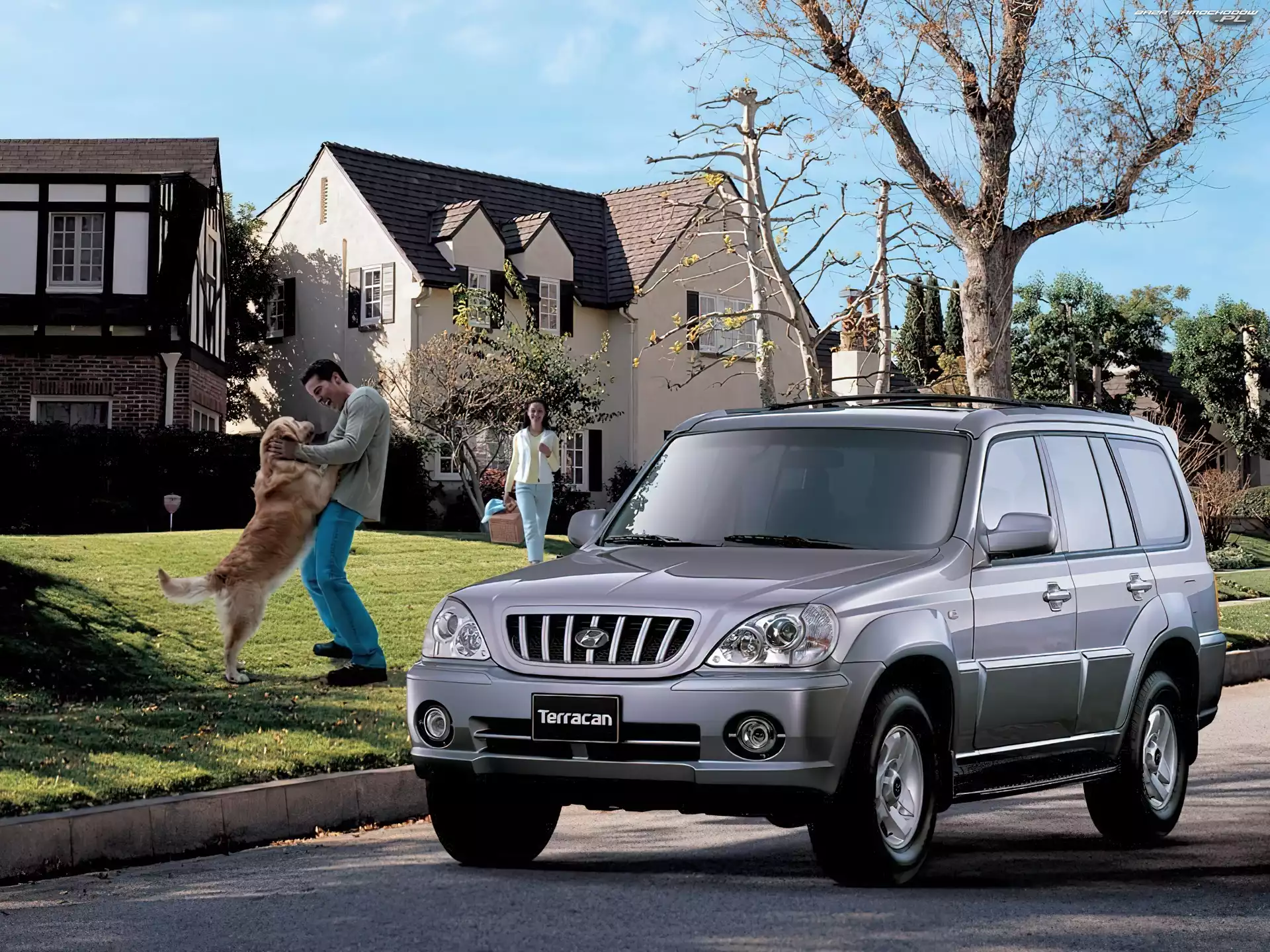 Domy, Hyundai Terracan, Rodzina