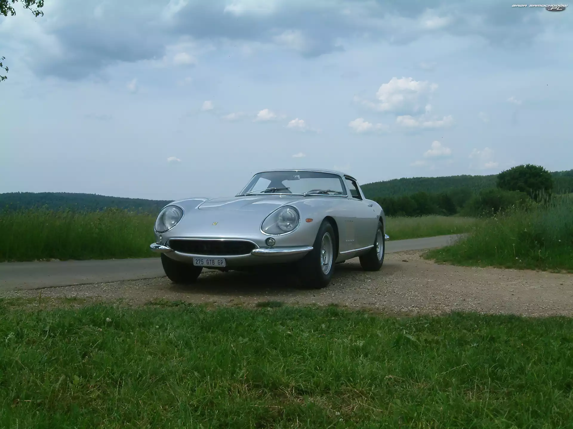 Droga, Ferrari 275, Polna
