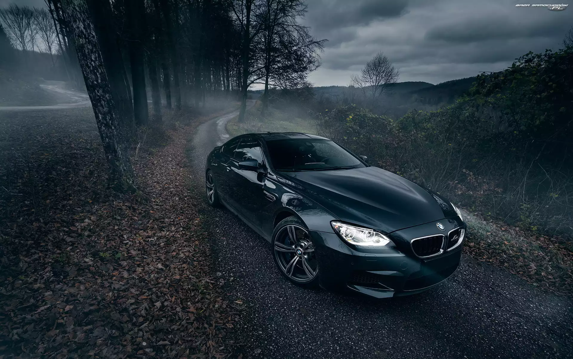 2014, Drzewa, BMW M6 Gran Coupe AC Schnitzer, Droga