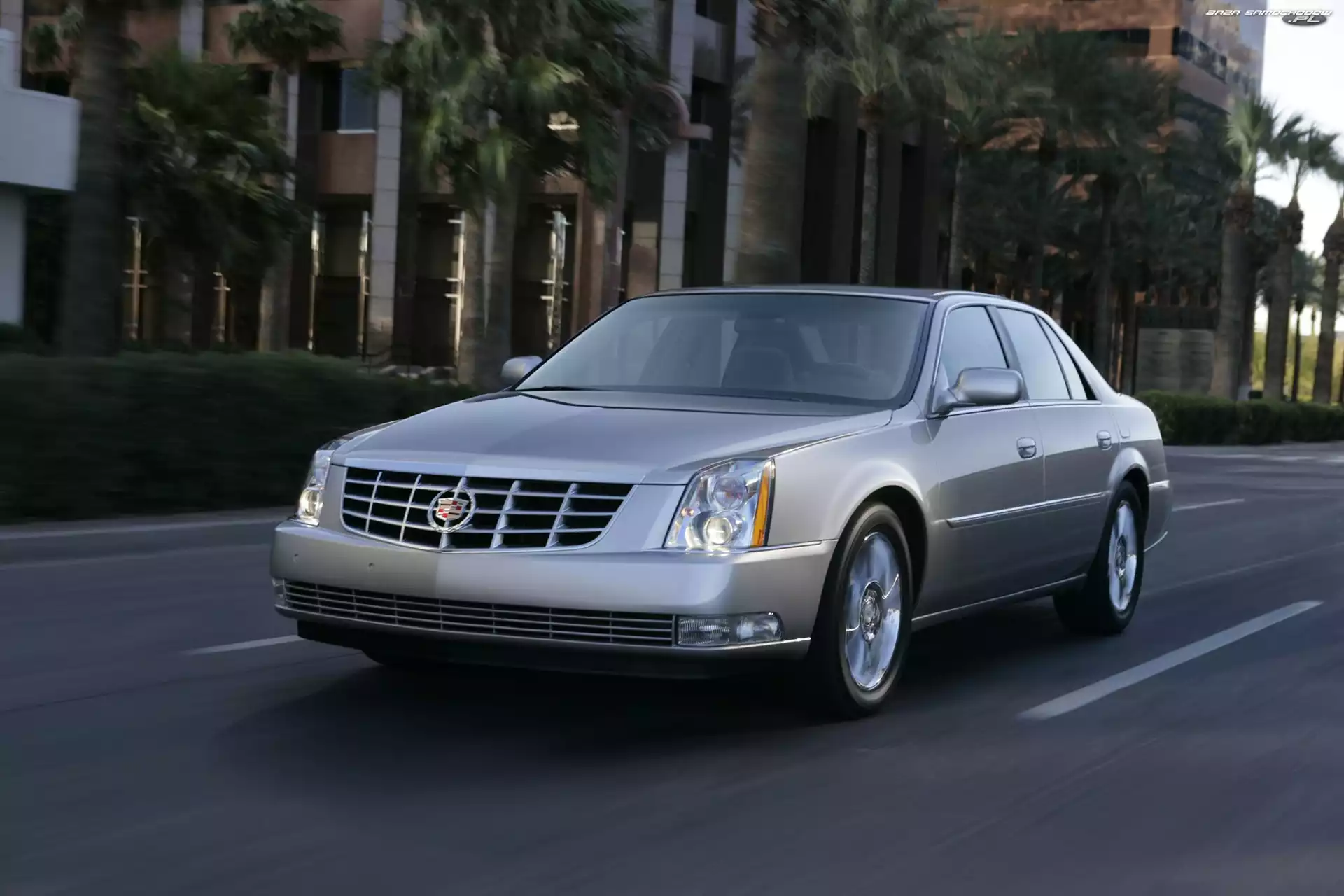 Droga, Cadillac DTS, Palmy